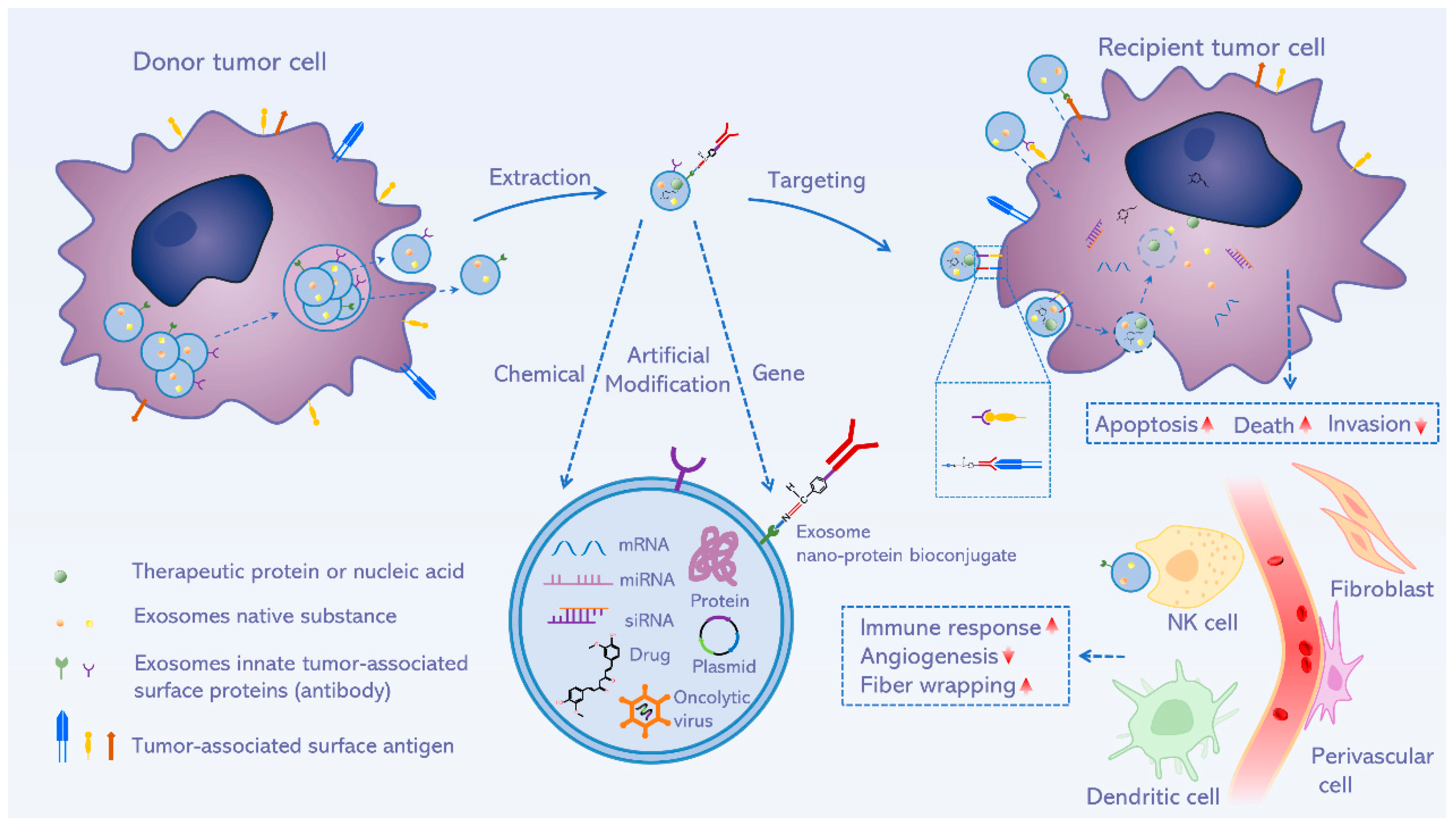 Pharmaceutics 15 00021 g003 Pharmaceutics 15 00021 g003