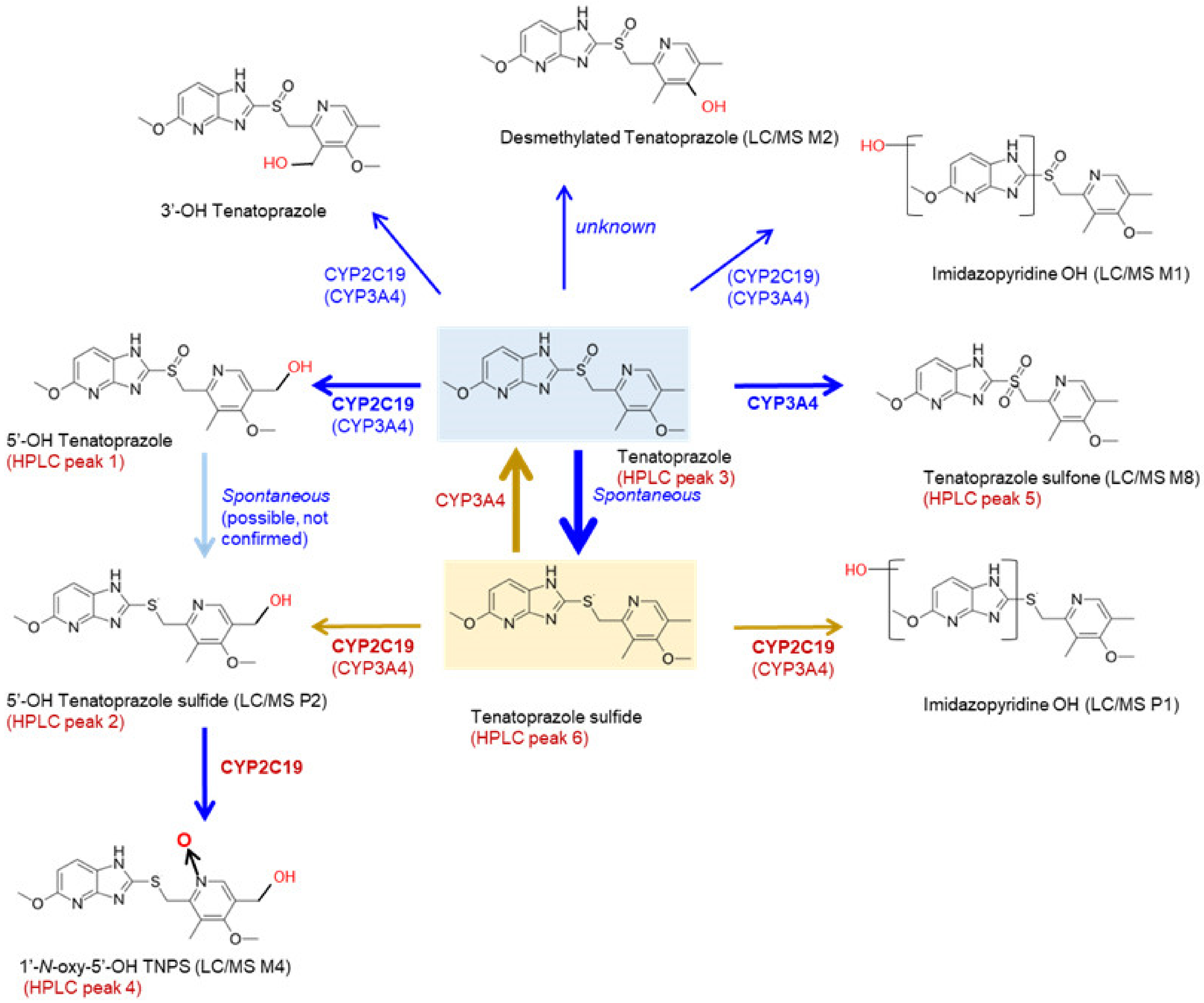 Pharmaceutics 15 00023 g007