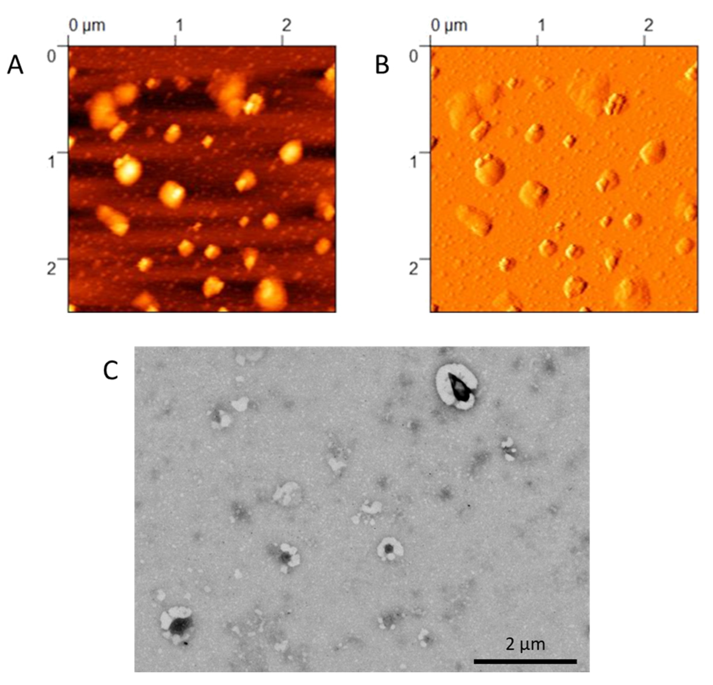 Pharmaceutics 15 00025 g001
