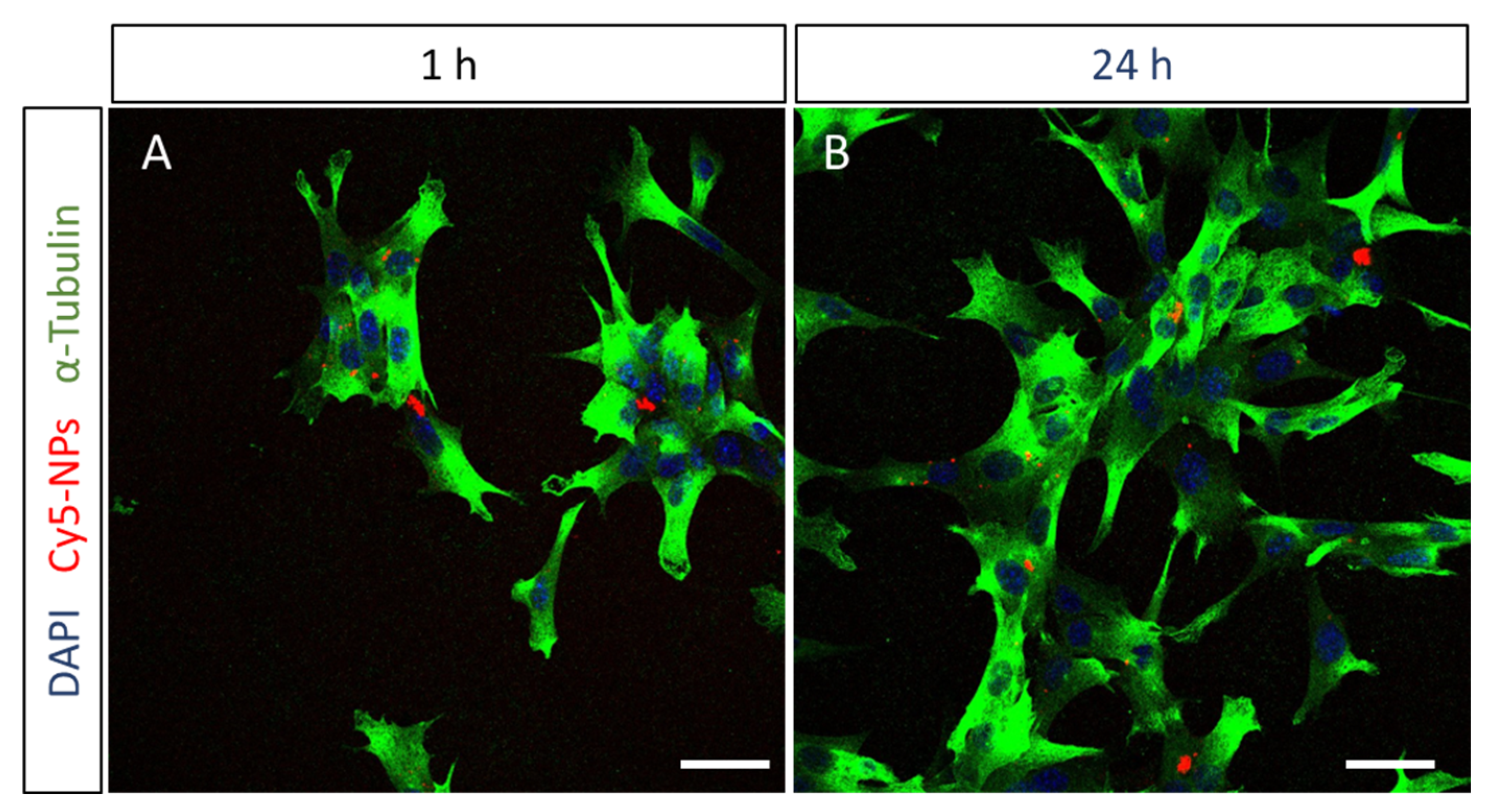 Pharmaceutics 15 00025 g004