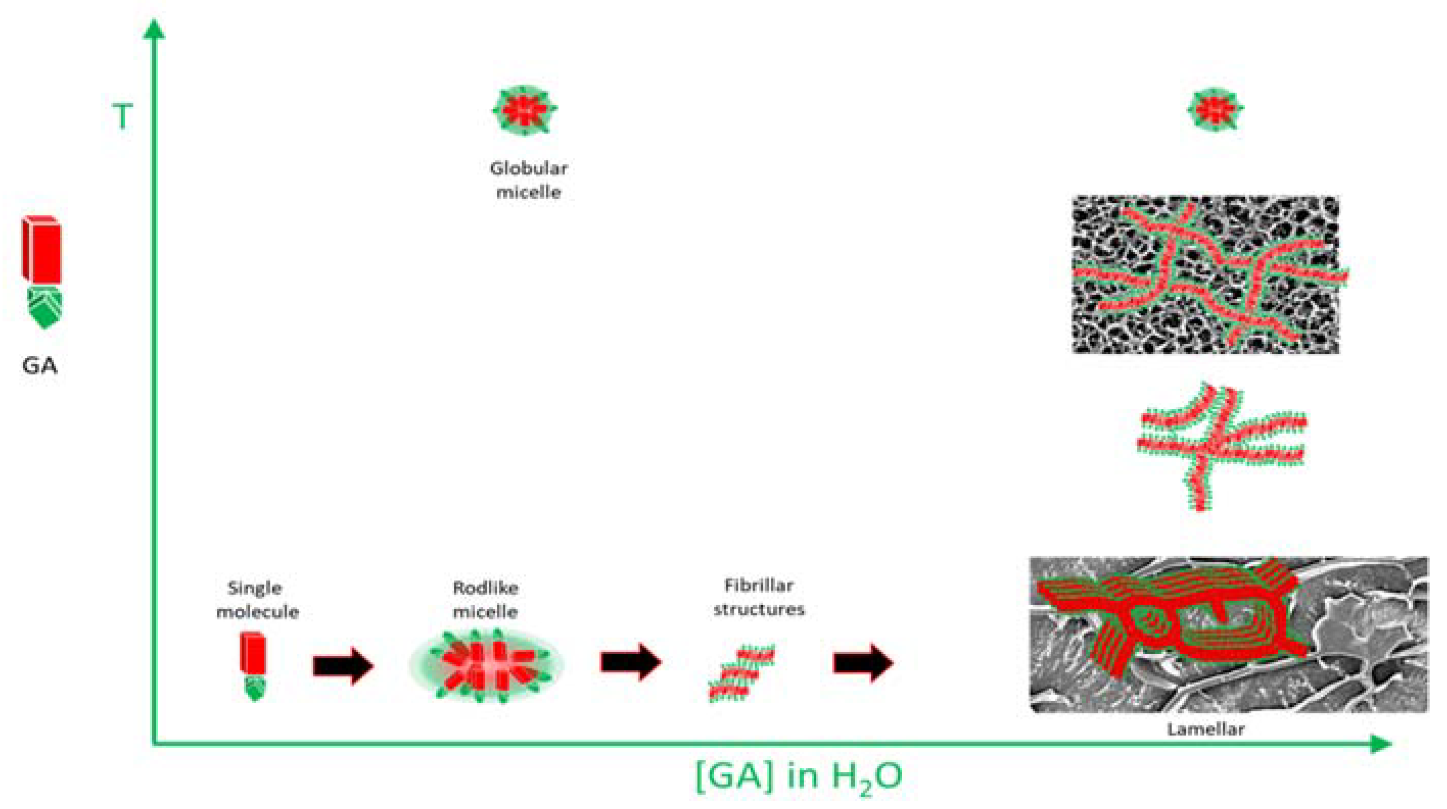 Pharmaceutics 15 00027 g004 Pharmaceutics 15 00027 g004