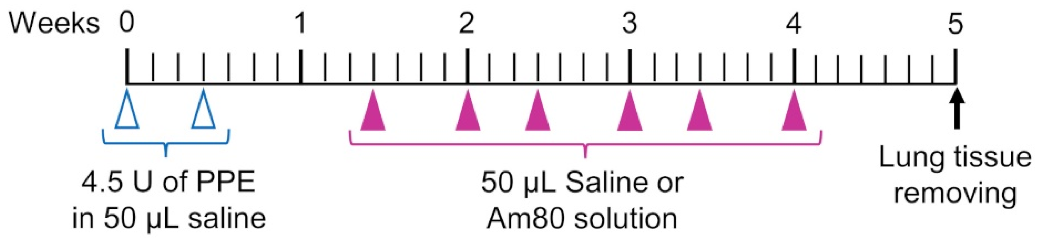 Pharmaceutics 15 00037 g001