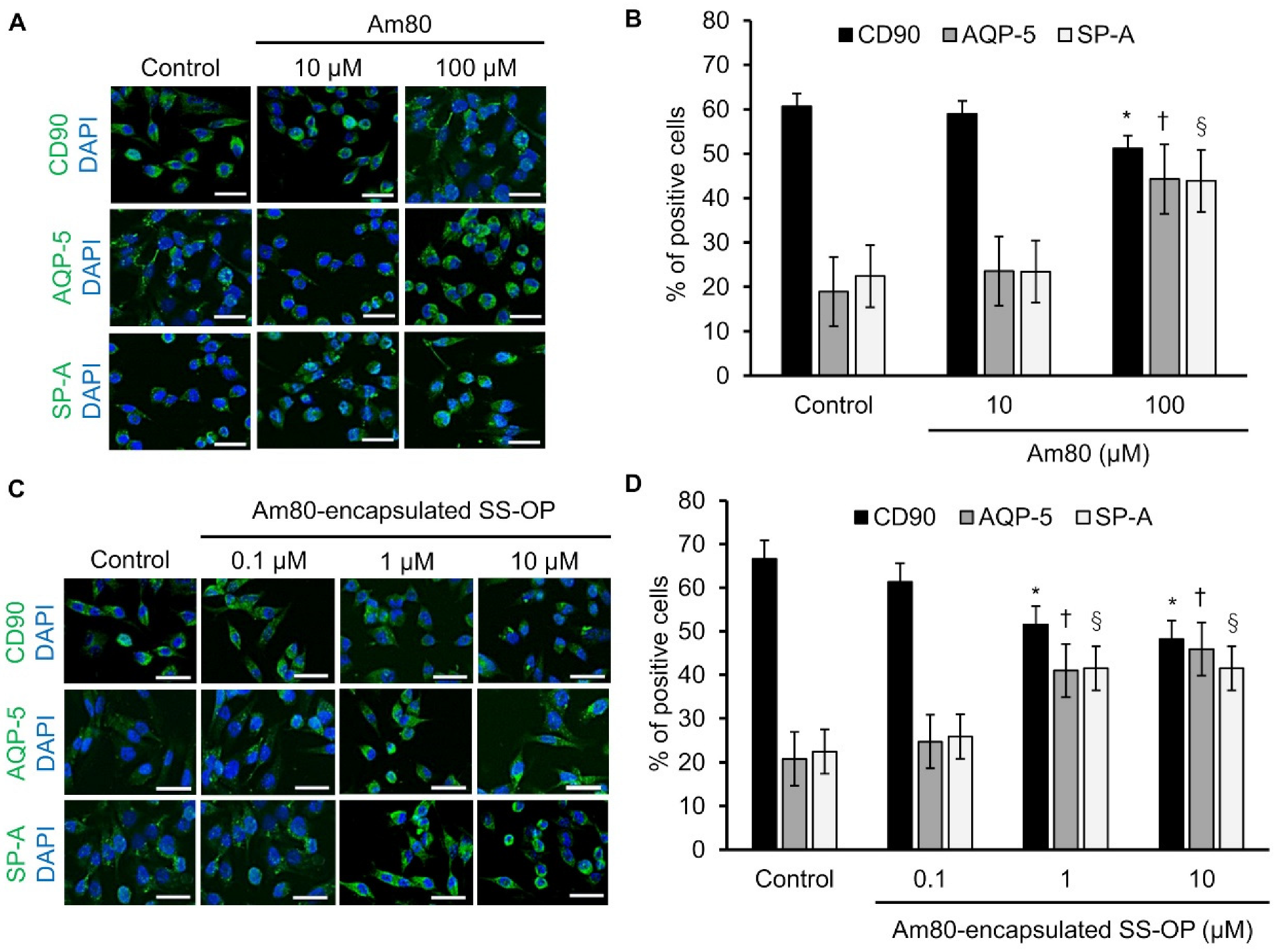 Pharmaceutics 15 00037 g002