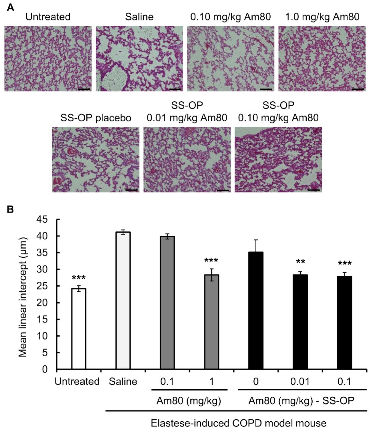 Pharmaceutics 15 00037 g003
