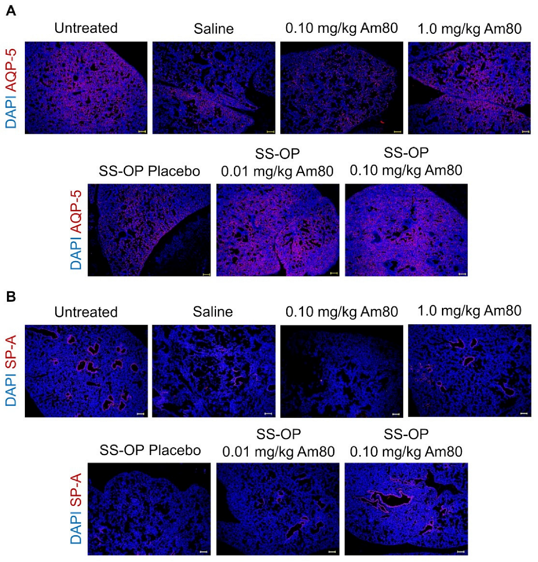 Pharmaceutics 15 00037 g004