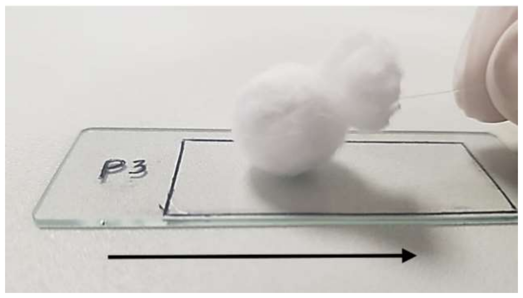 Pharmaceutics 15 00039 g001