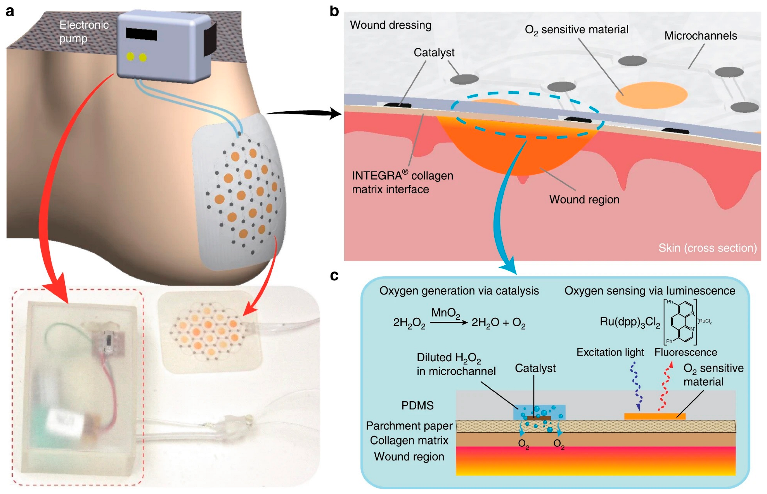 Pharmaceutics 15 00042 g004 Pharmaceutics 15 00042 g004