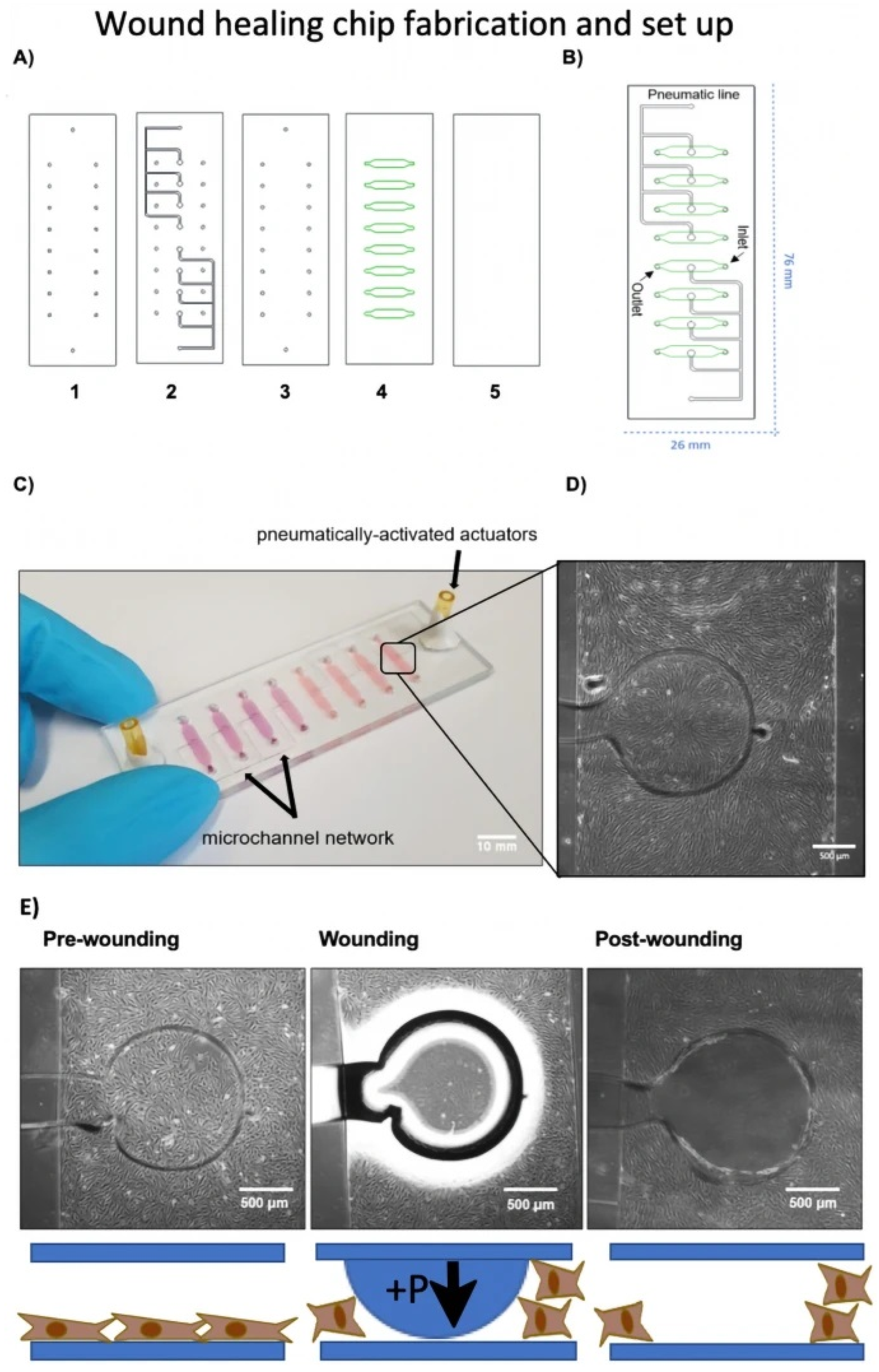 Pharmaceutics 15 00042 g005 Pharmaceutics 15 00042 g005
