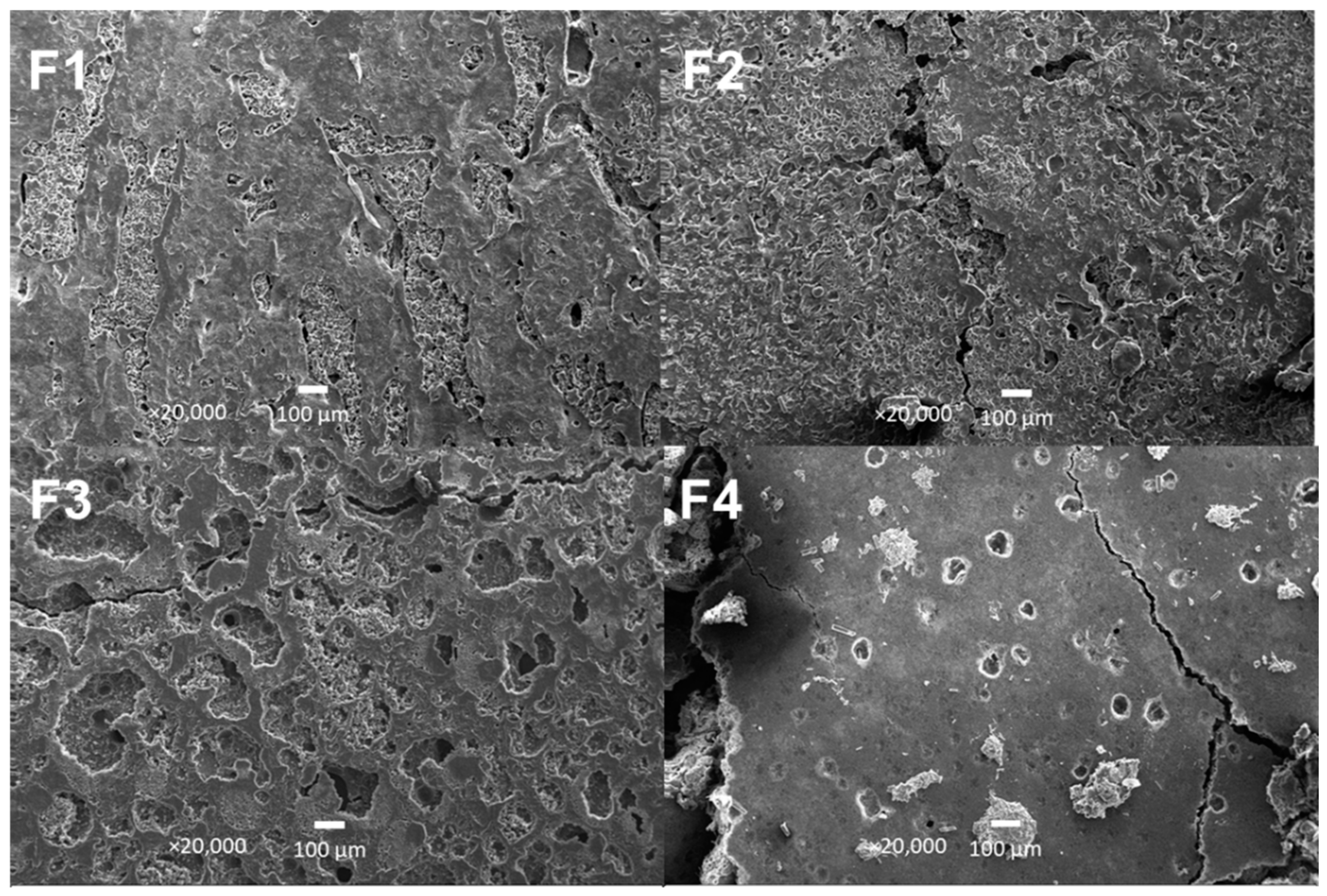 Pharmaceutics 15 00043 g009 Pharmaceutics 15 00043 g009