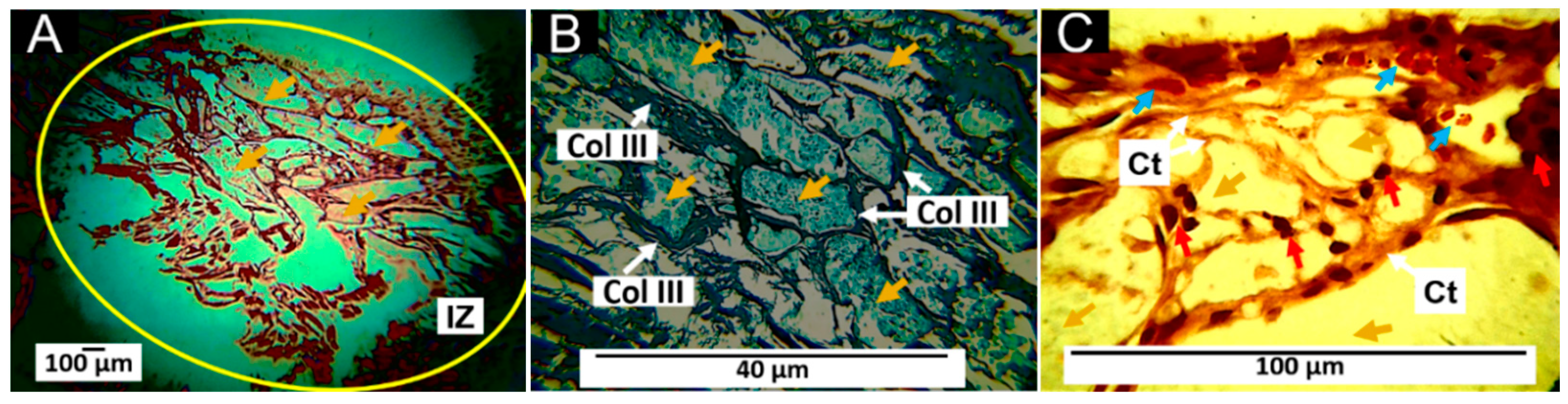 Pharmaceutics 15 00043 g012 Pharmaceutics 15 00043 g012