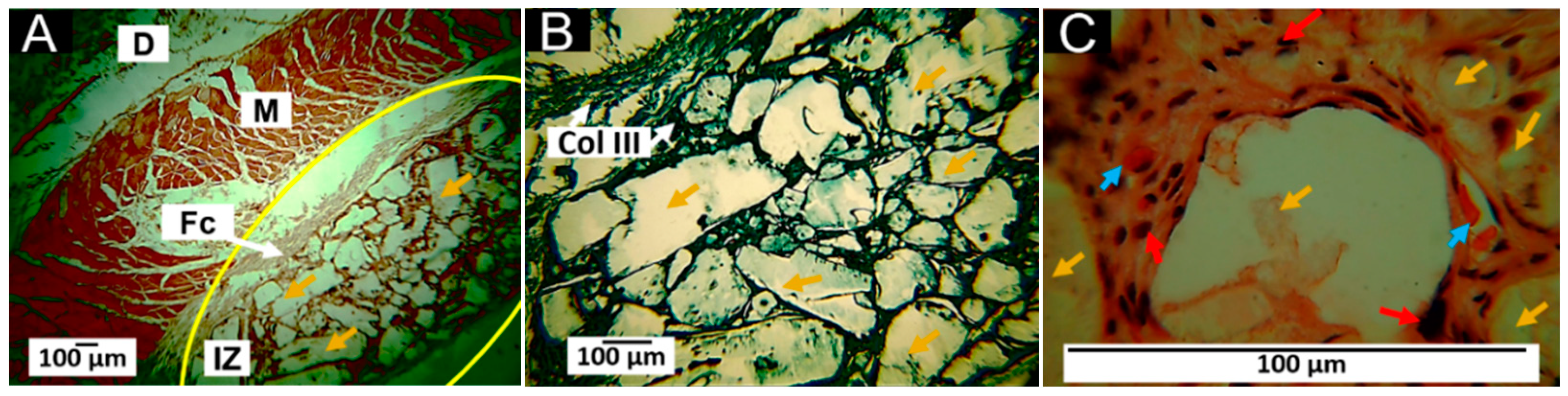 Pharmaceutics 15 00043 g013 Pharmaceutics 15 00043 g013