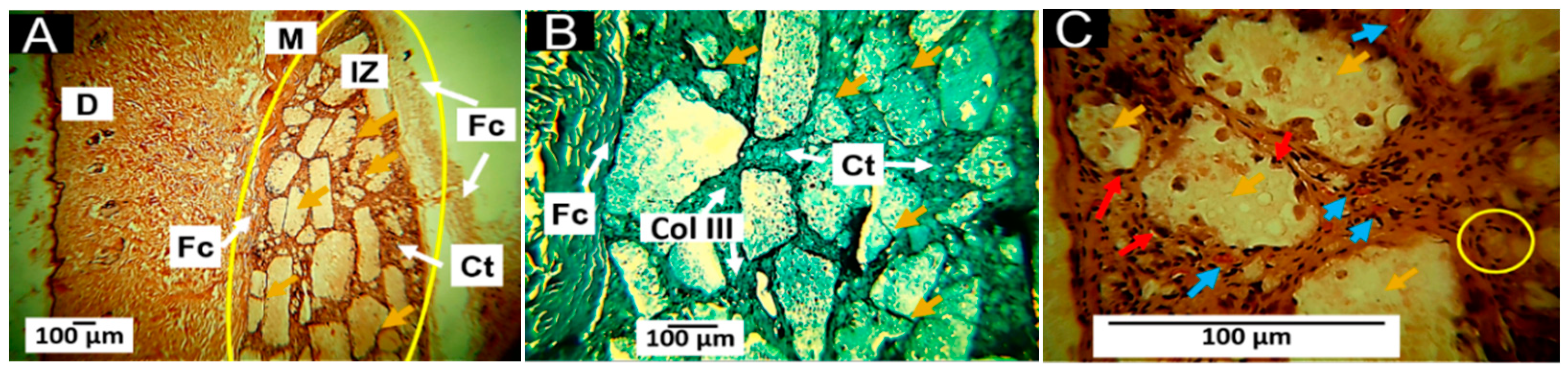 Pharmaceutics 15 00043 g014 Pharmaceutics 15 00043 g014