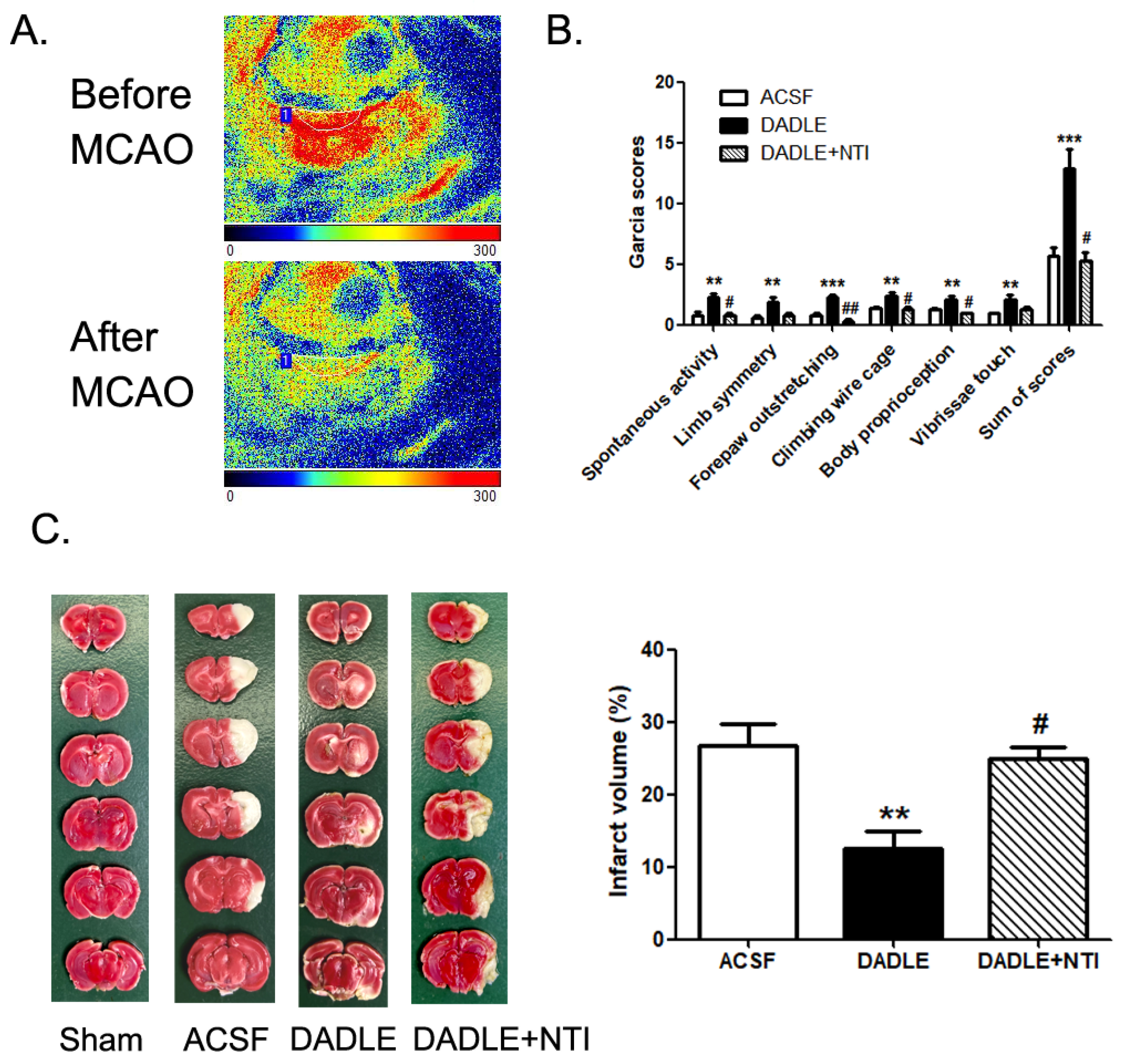 Pharmaceutics 15 00046 g001 Pharmaceutics 15 00046 g001