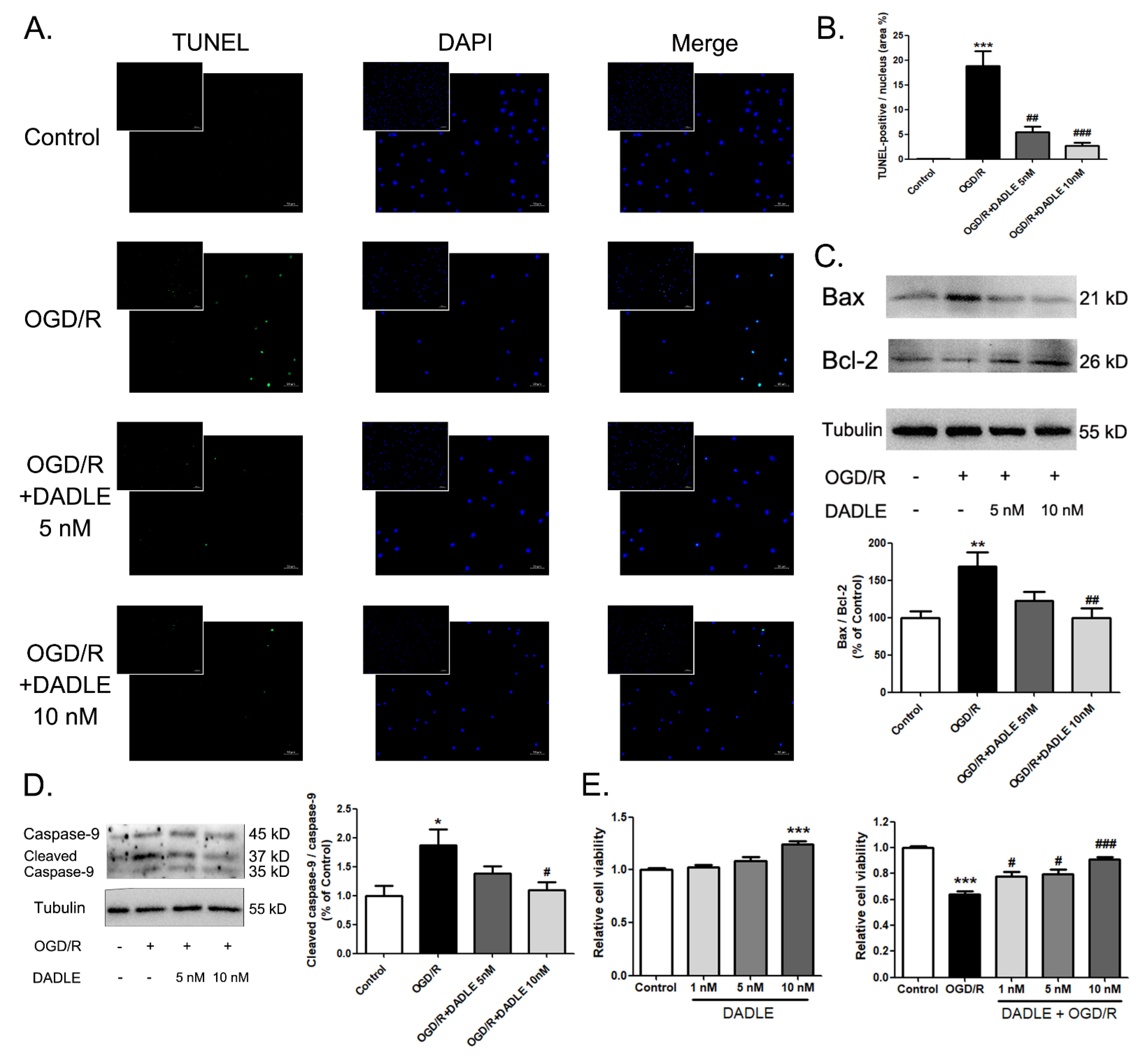 Pharmaceutics 15 00046 g004 Pharmaceutics 15 00046 g004