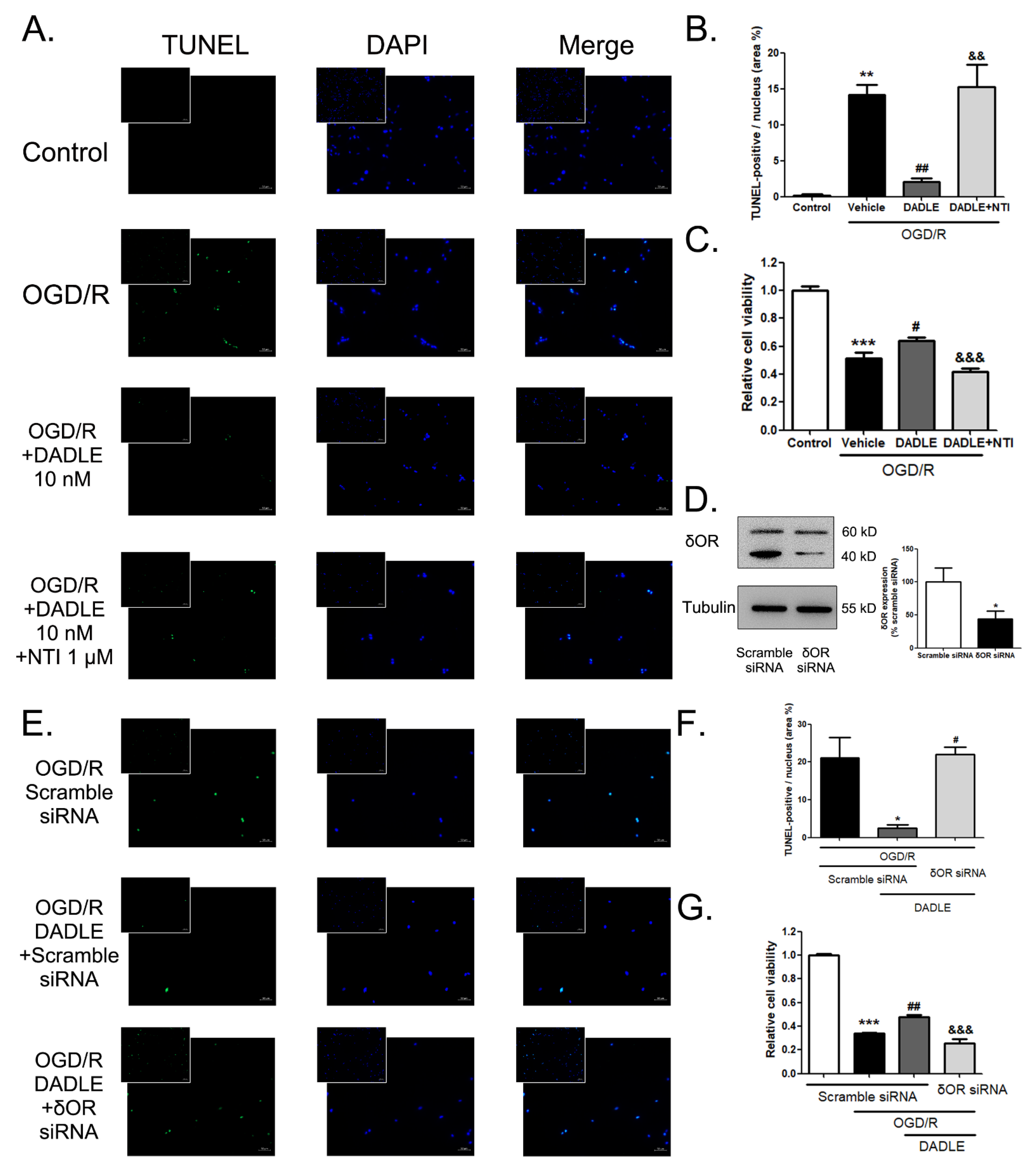 Pharmaceutics 15 00046 g005 Pharmaceutics 15 00046 g005