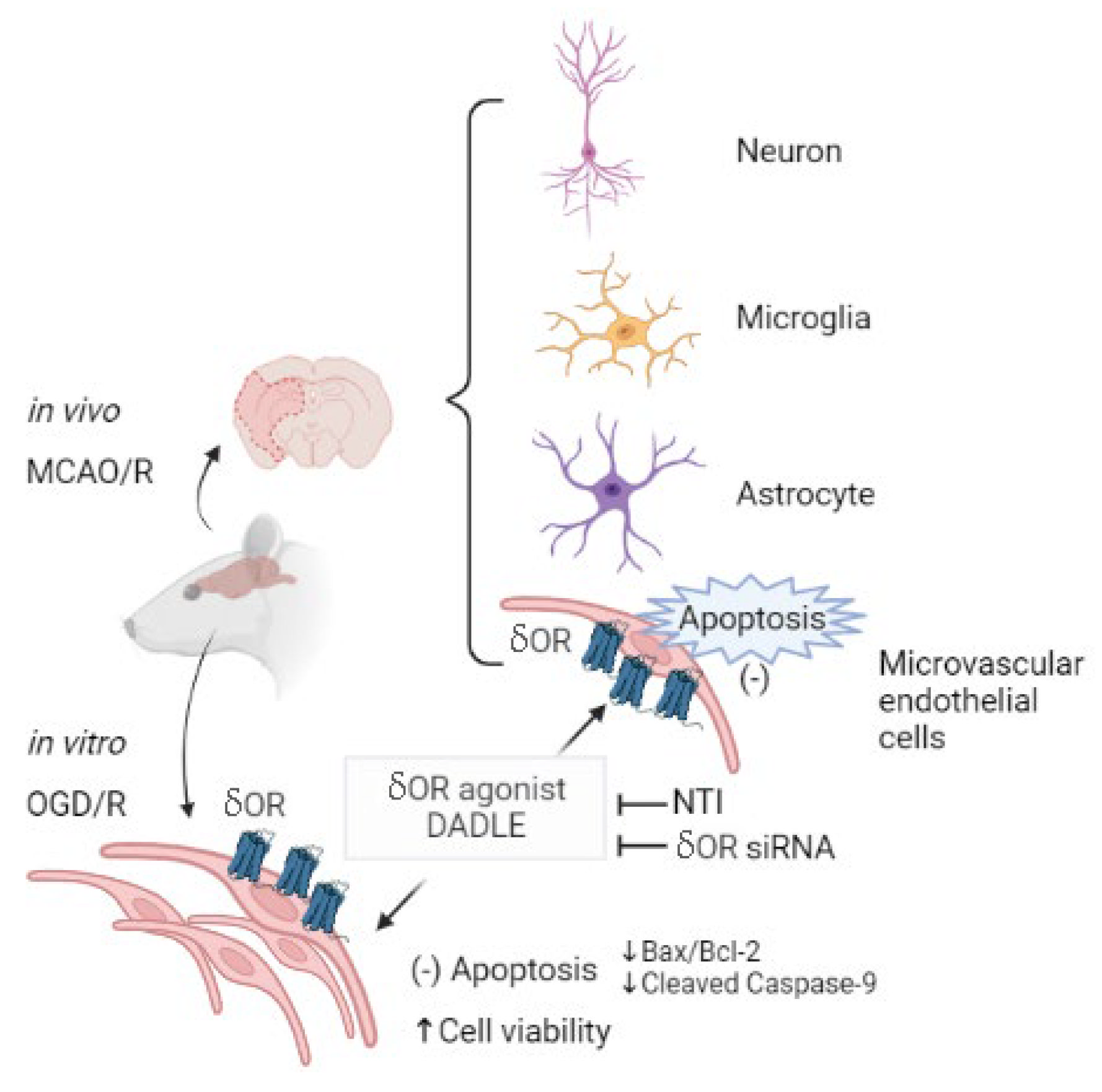 Pharmaceutics 15 00046 g006 Pharmaceutics 15 00046 g006