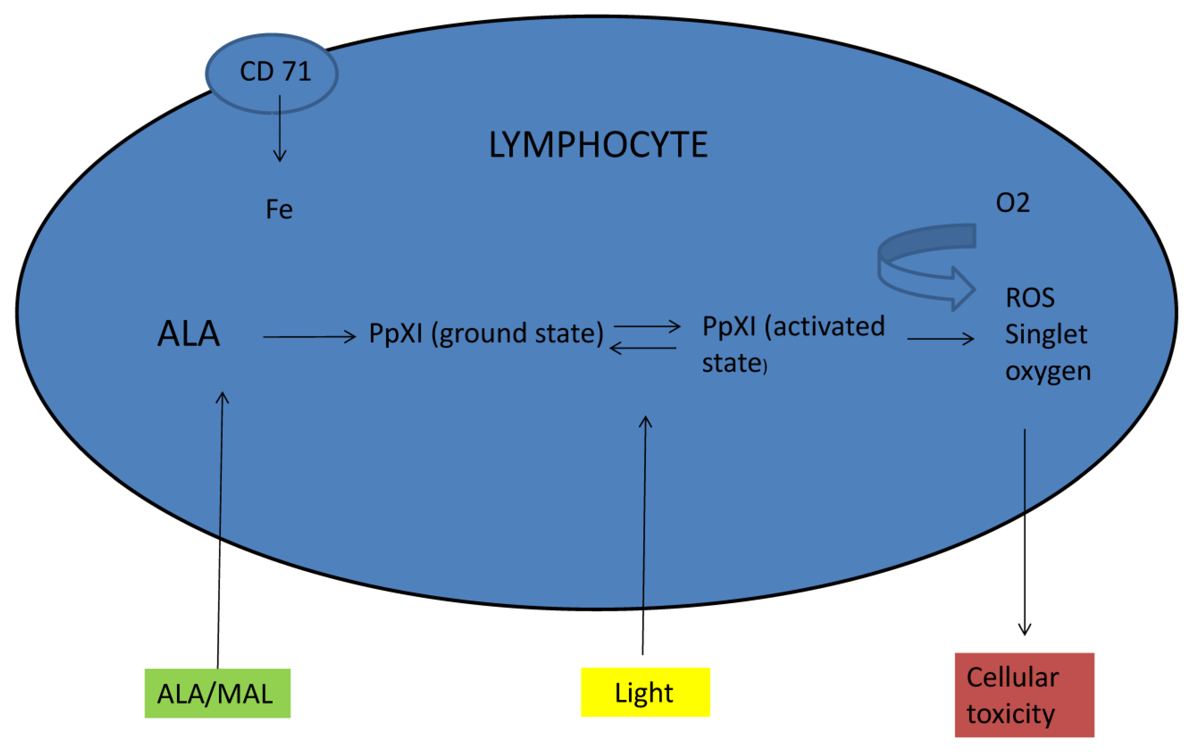 Pharmaceutics 15 00047 g002 Pharmaceutics 15 00047 g002