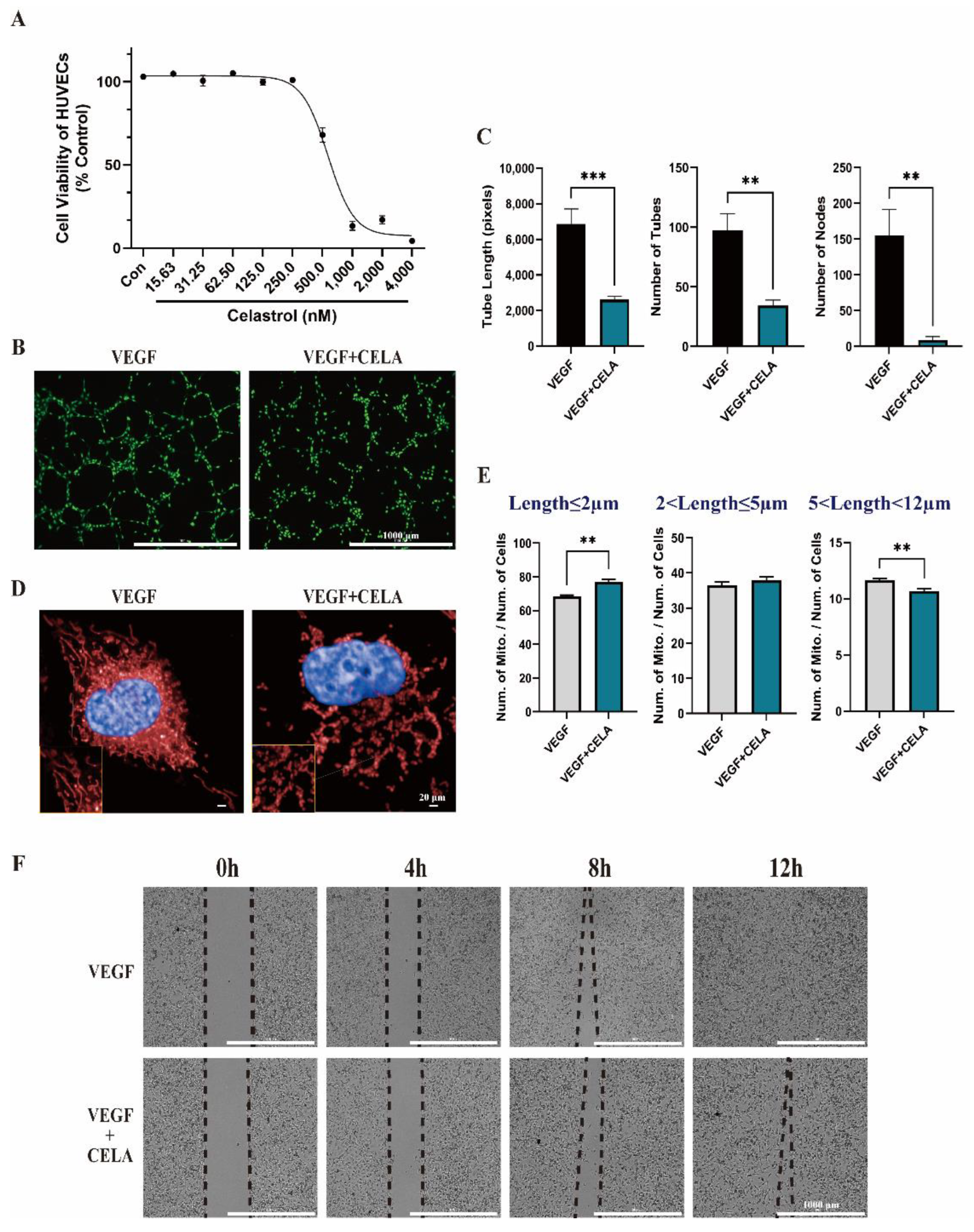 Pharmaceutics 15 00048 g002