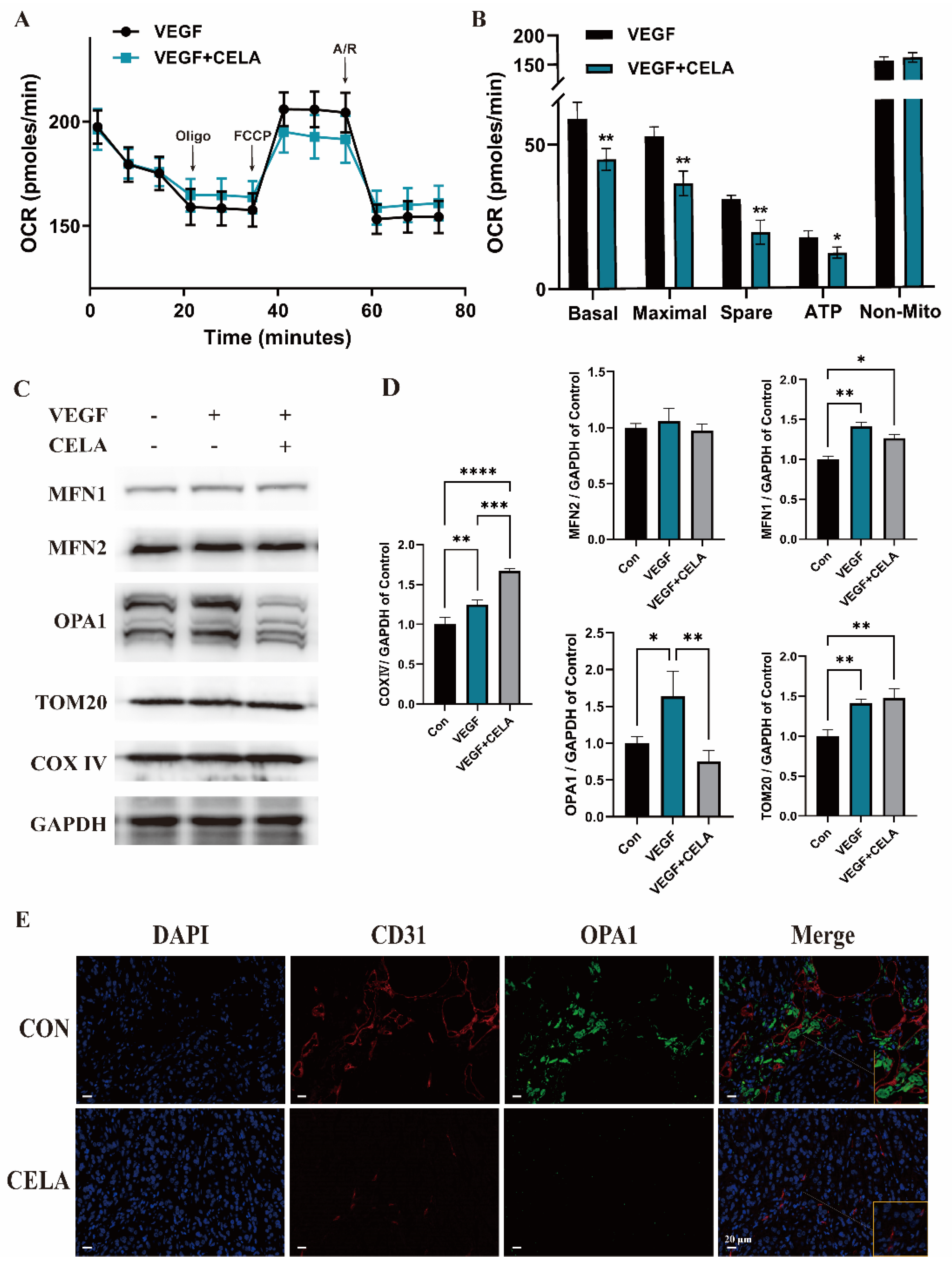 Pharmaceutics 15 00048 g003