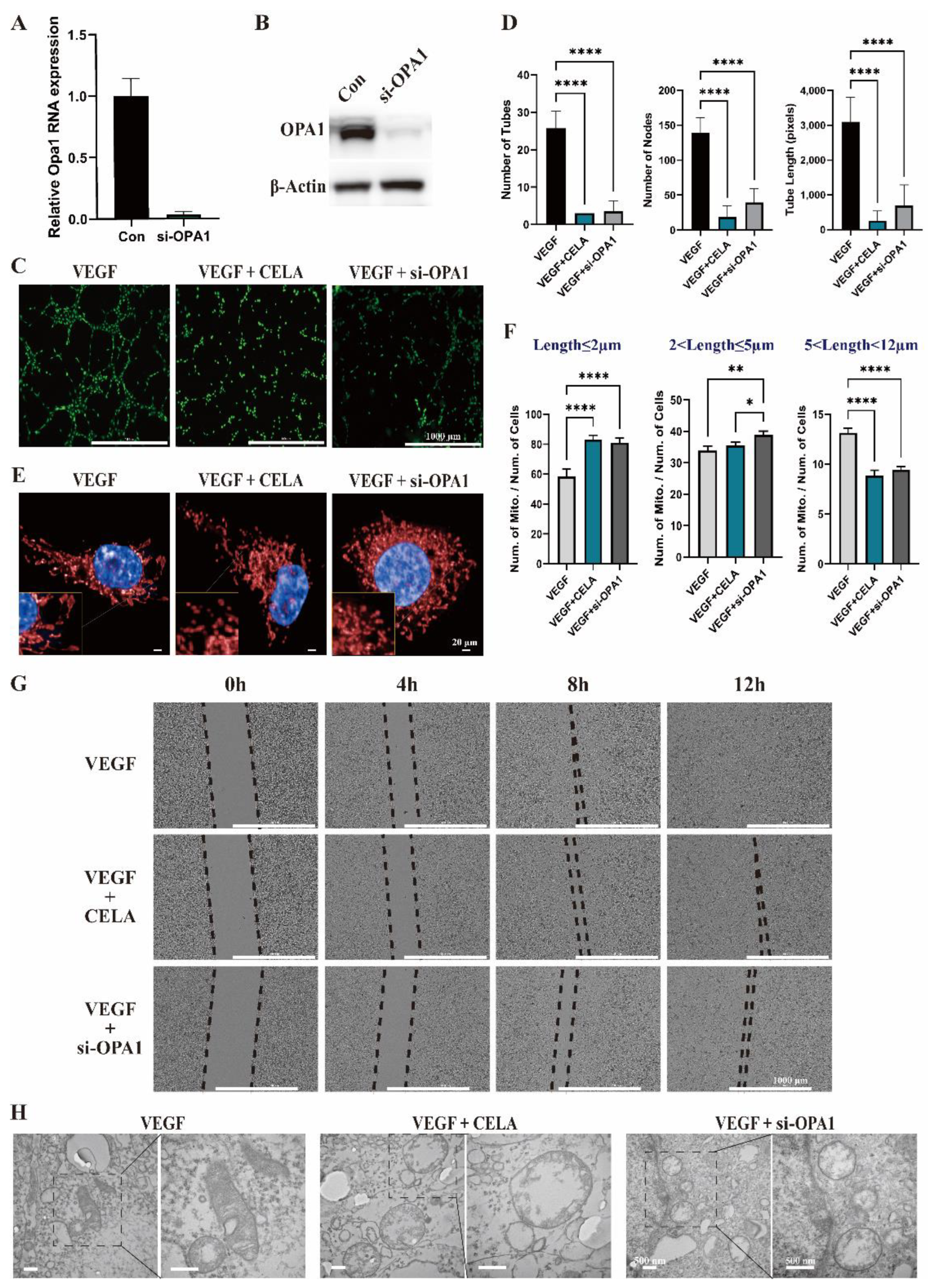Pharmaceutics 15 00048 g004