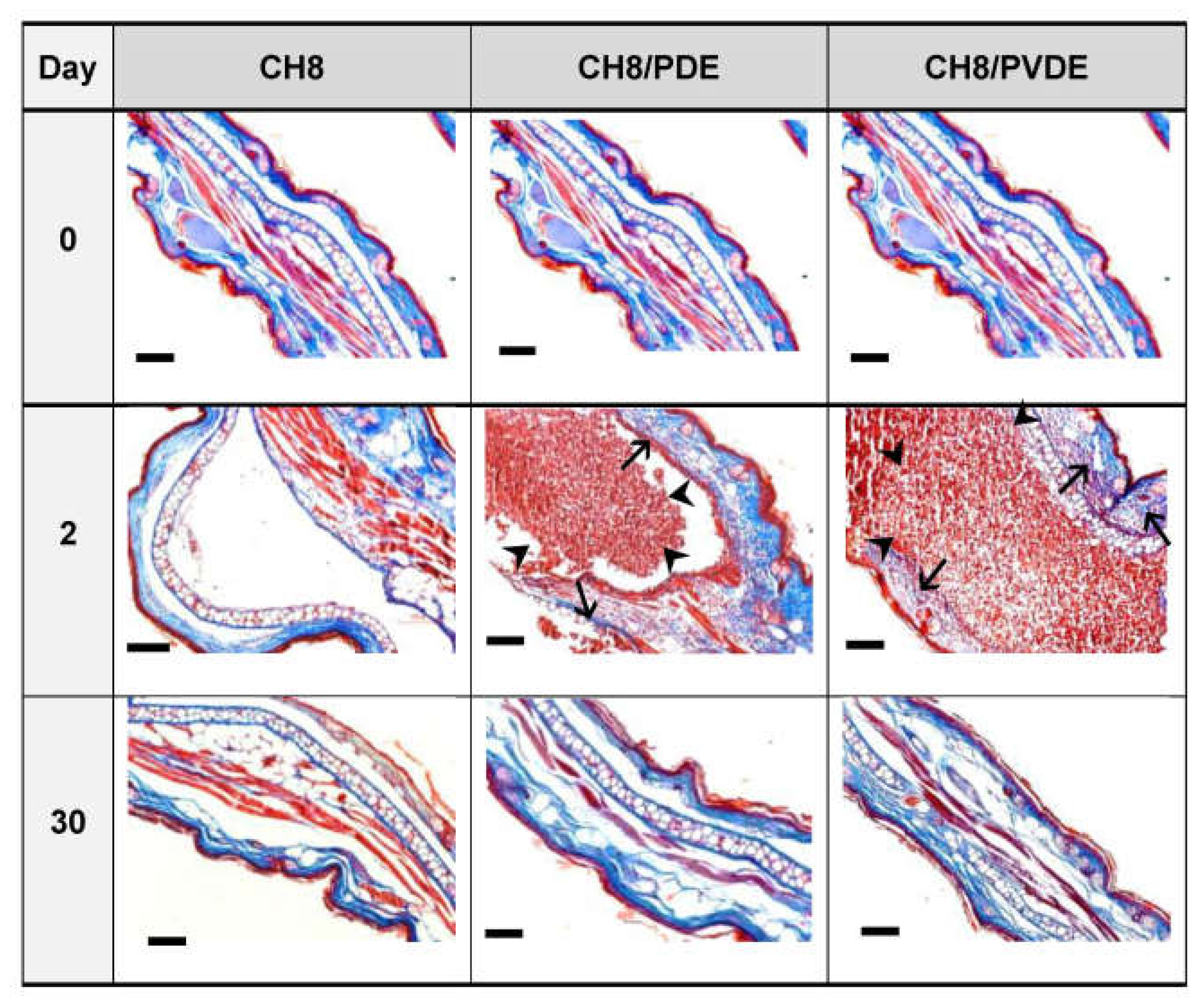 Pharmaceutics 15 00051 g003 Pharmaceutics 15 00051 g003