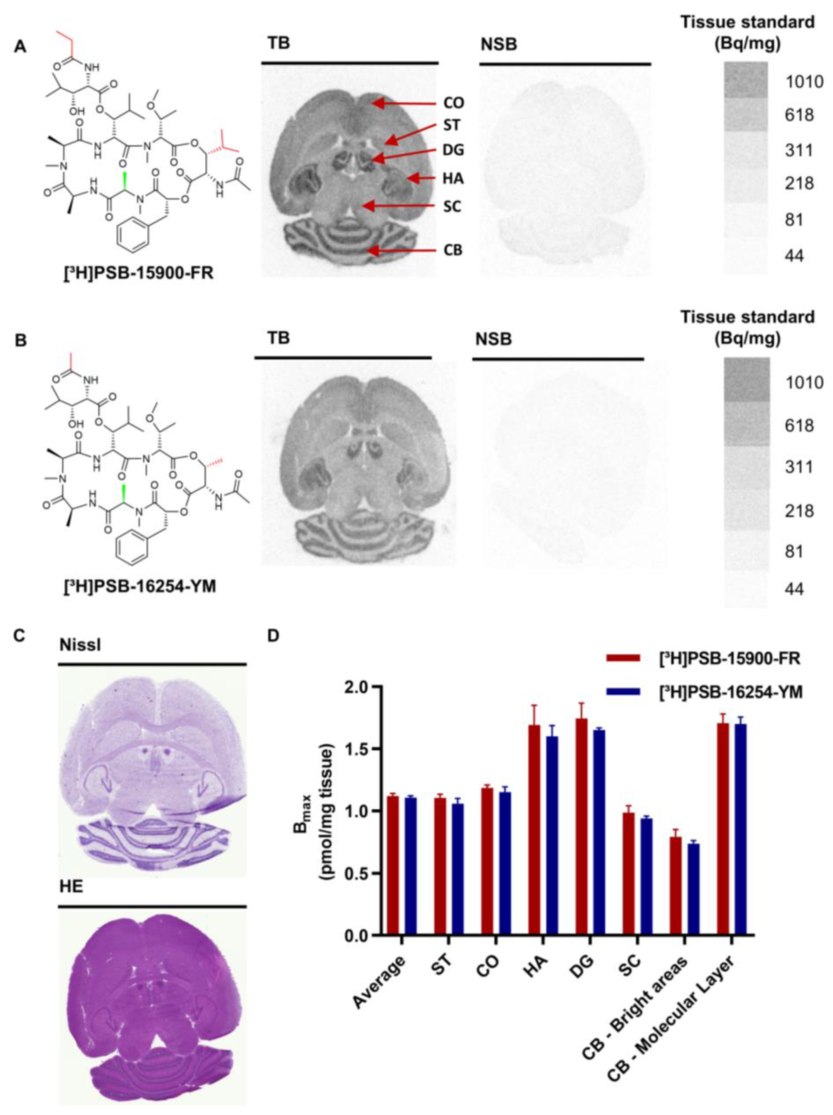 Pharmaceutics 15 00057 g001