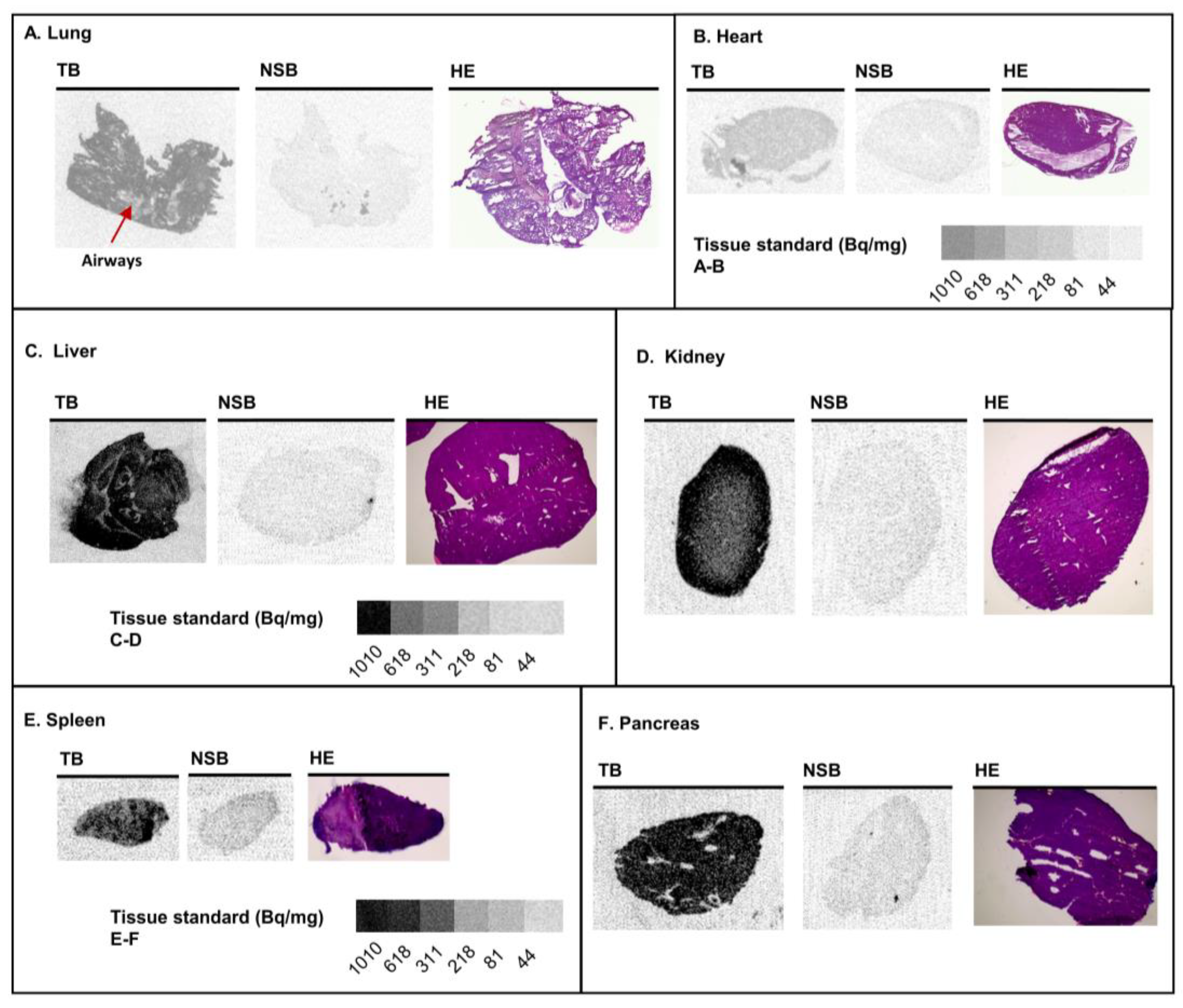 Pharmaceutics 15 00057 g002