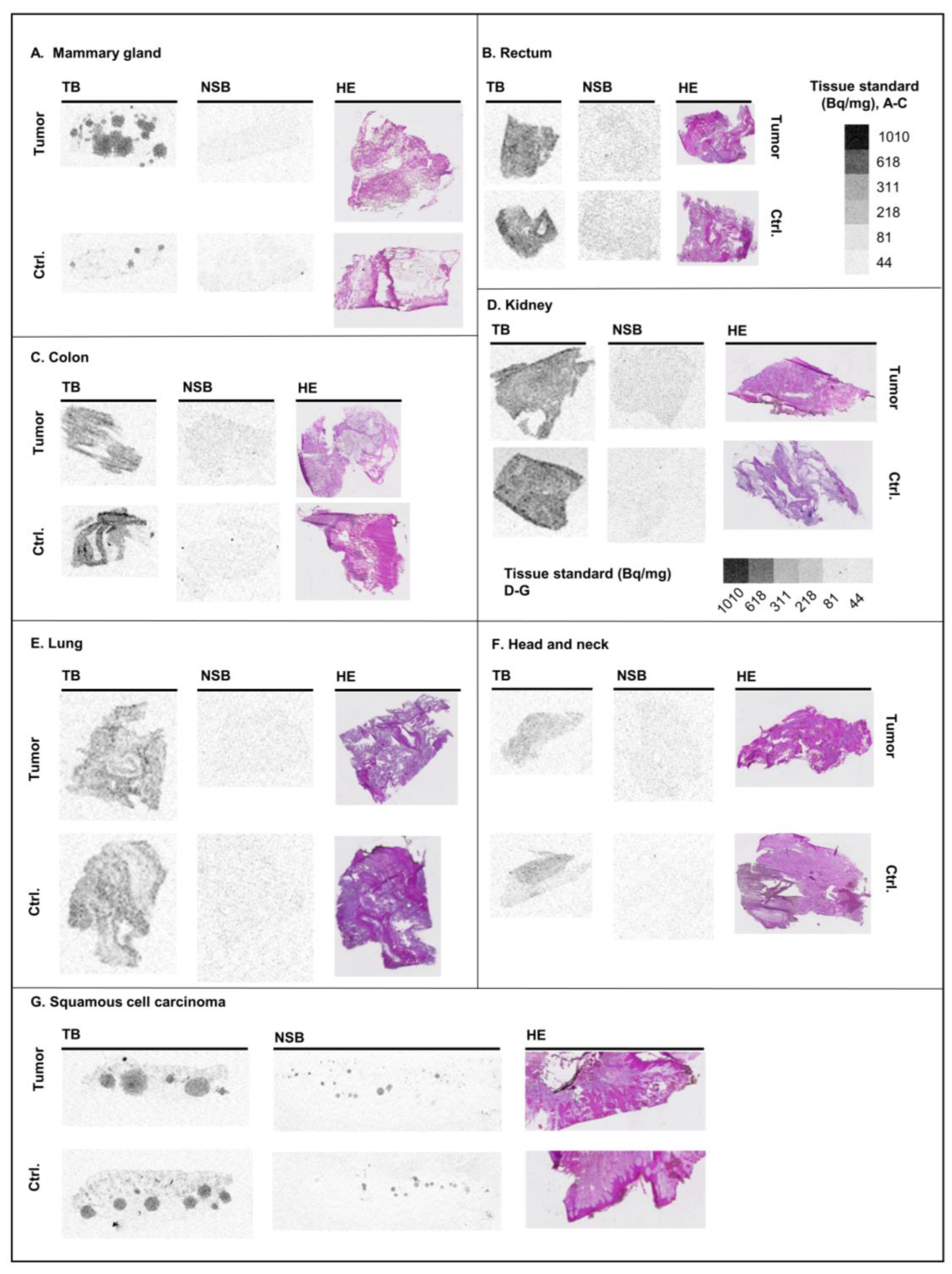 Pharmaceutics 15 00057 g006
