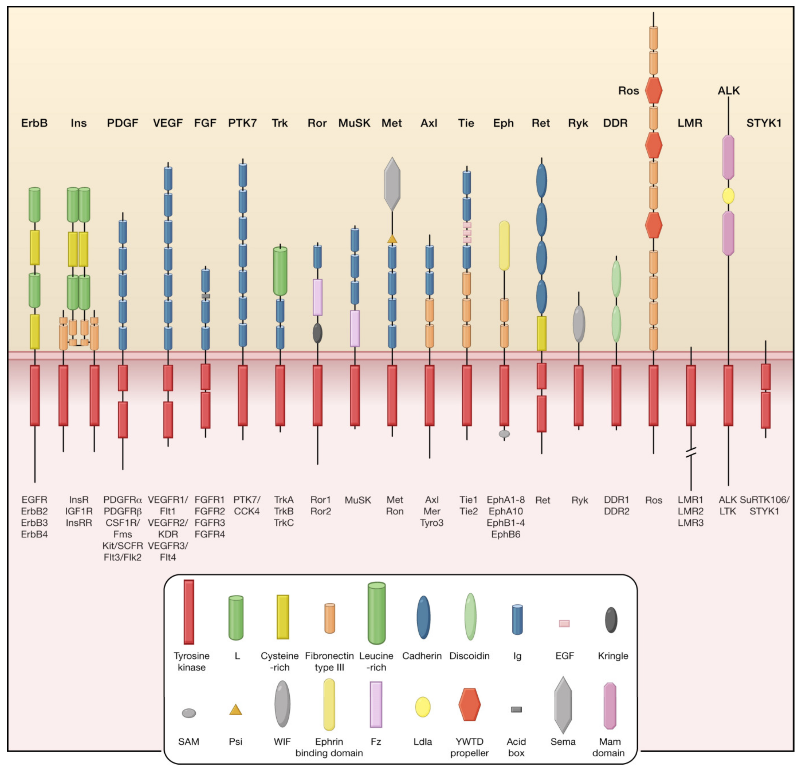 Pharmaceutics 15 00059 g001 Pharmaceutics 15 00059 g001