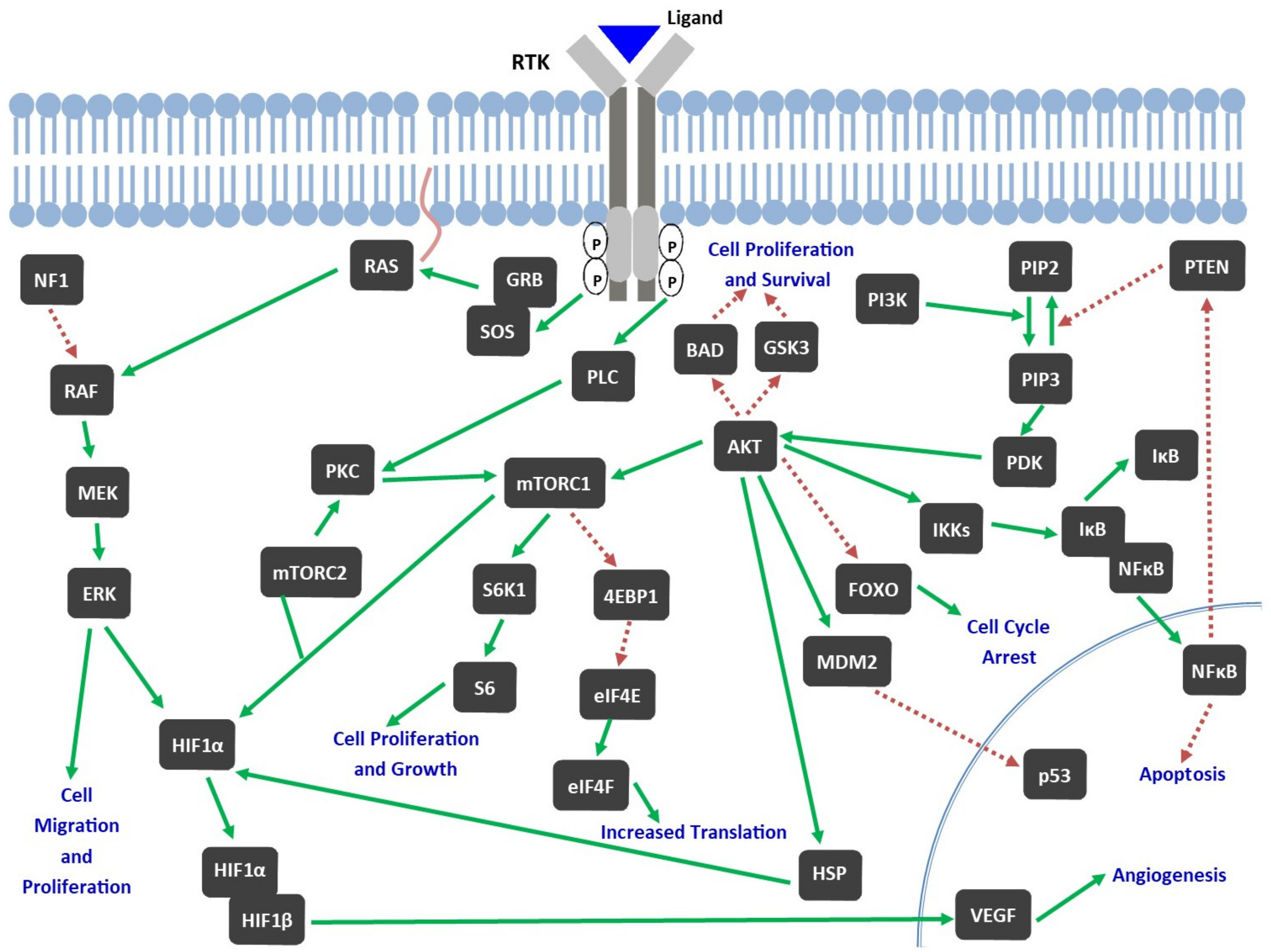 Pharmaceutics 15 00059 g002 Pharmaceutics 15 00059 g002