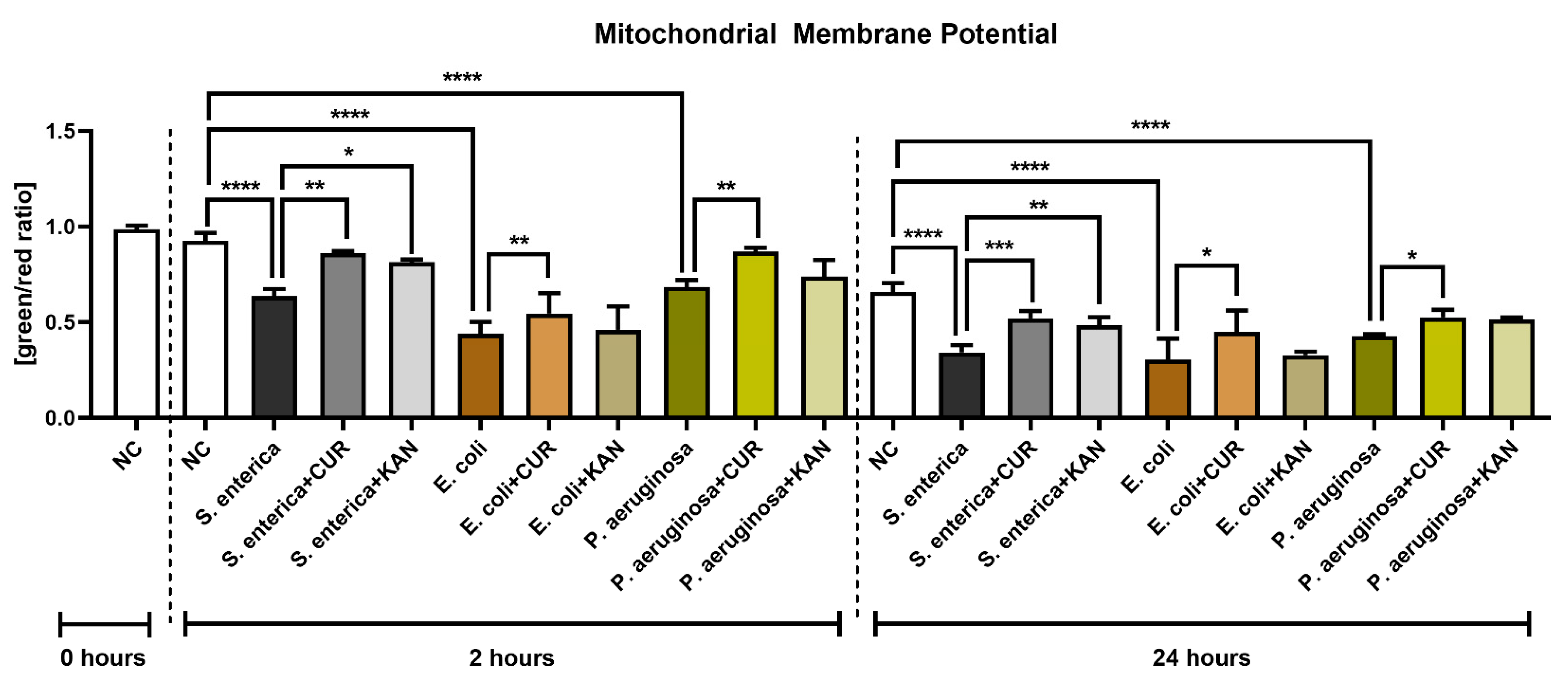 Pharmaceutics 15 00065 g004
