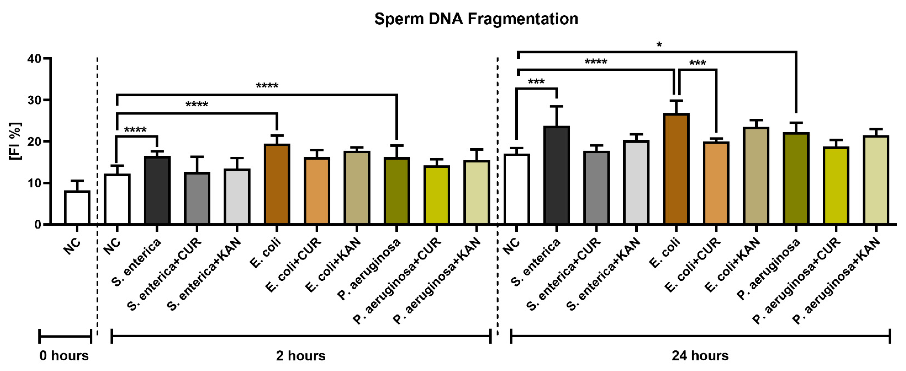 Pharmaceutics 15 00065 g005