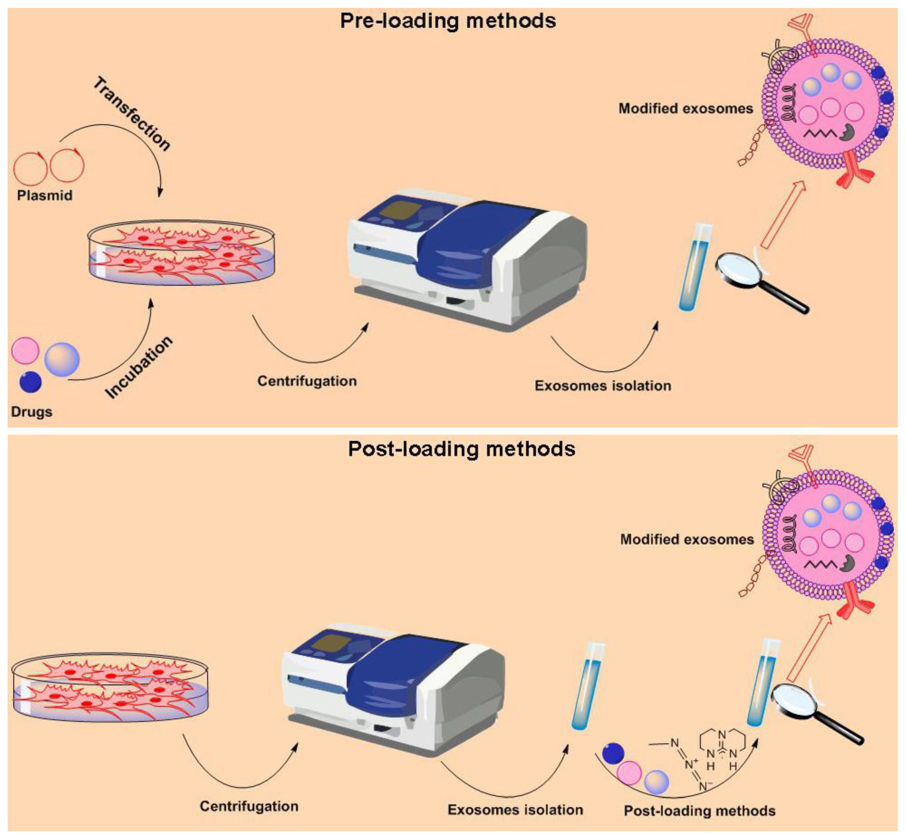 Pharmaceutics 15 00066 g003