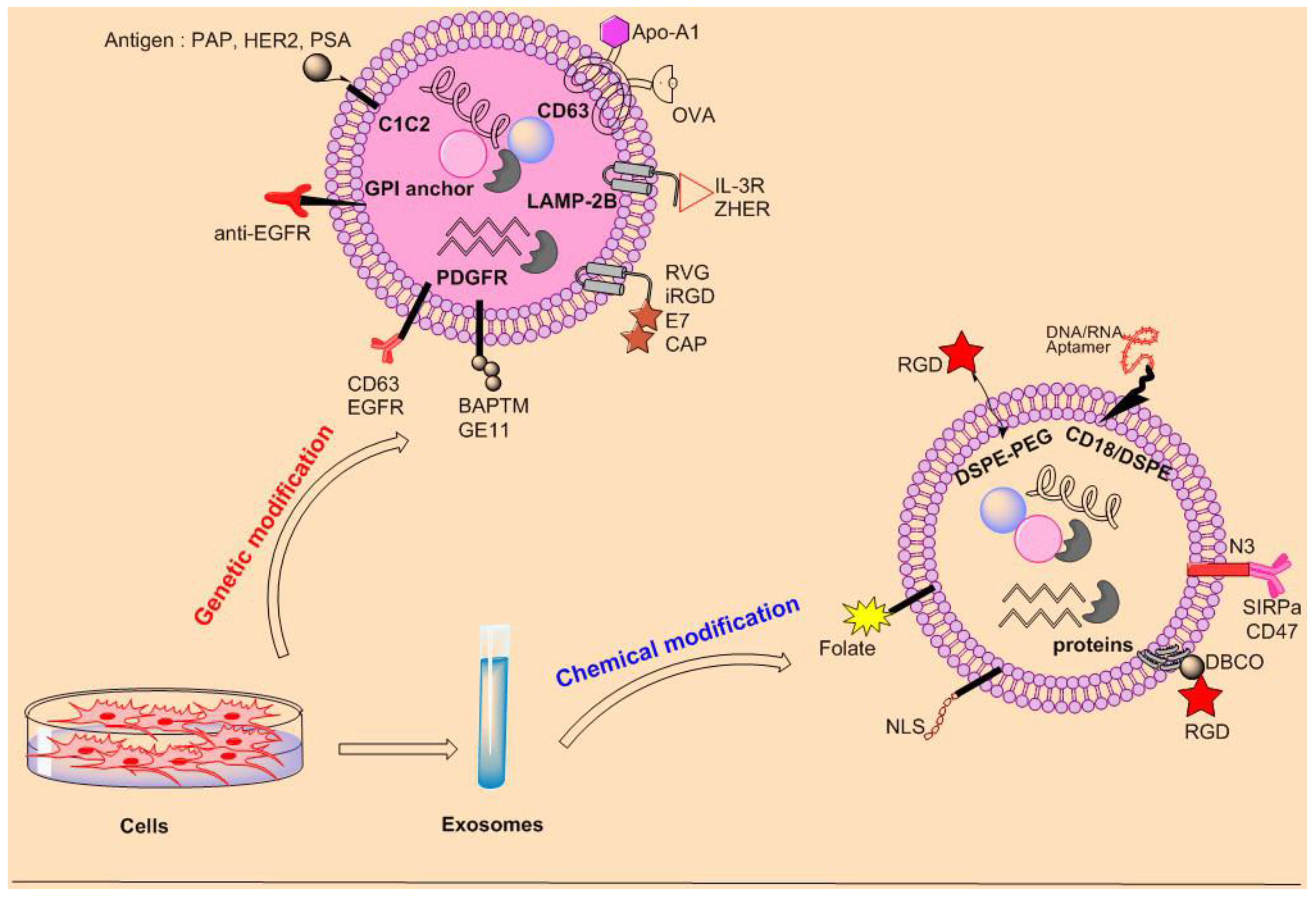 Pharmaceutics 15 00066 g004