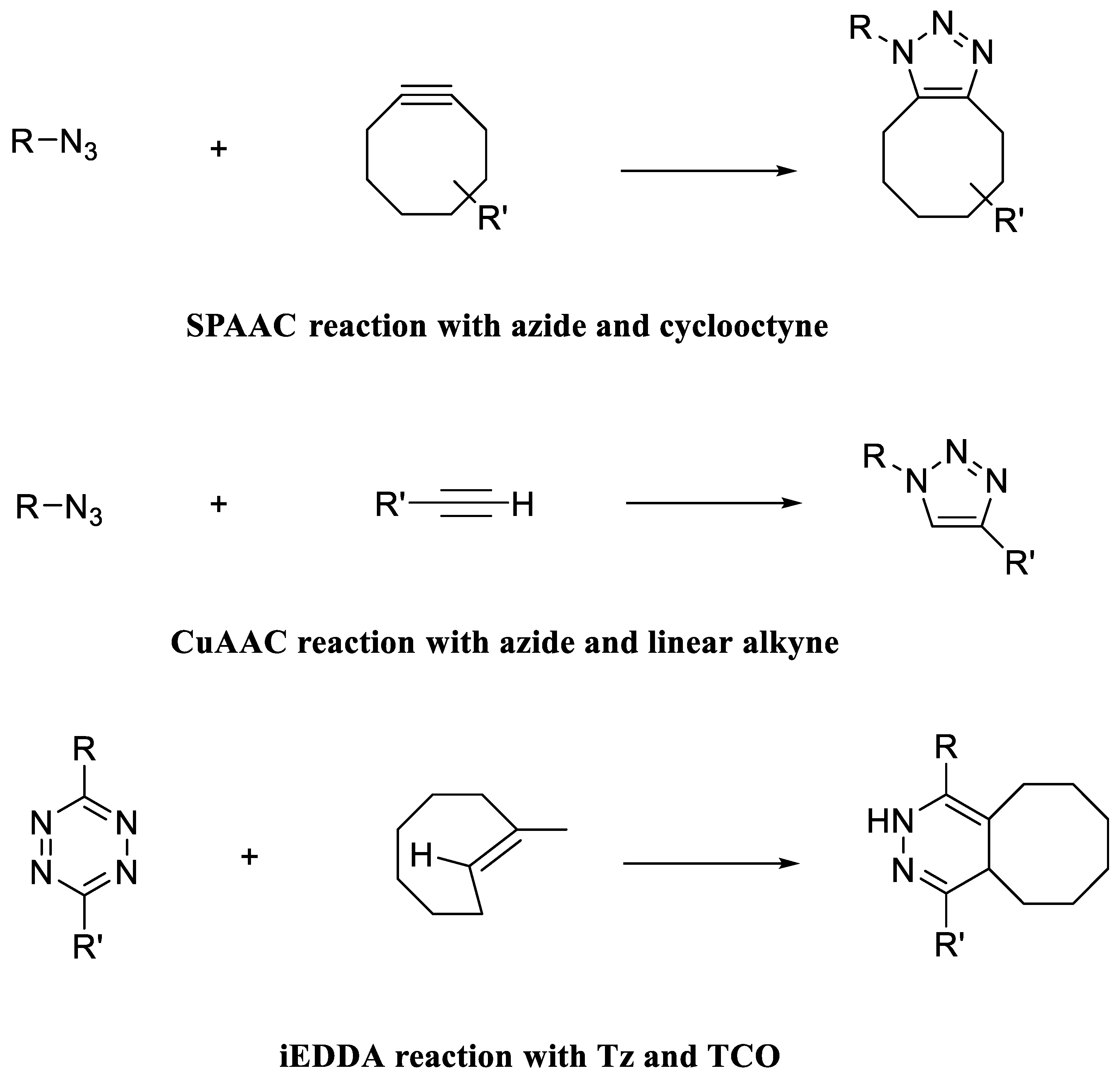 Pharmaceutics 15 00066 g005