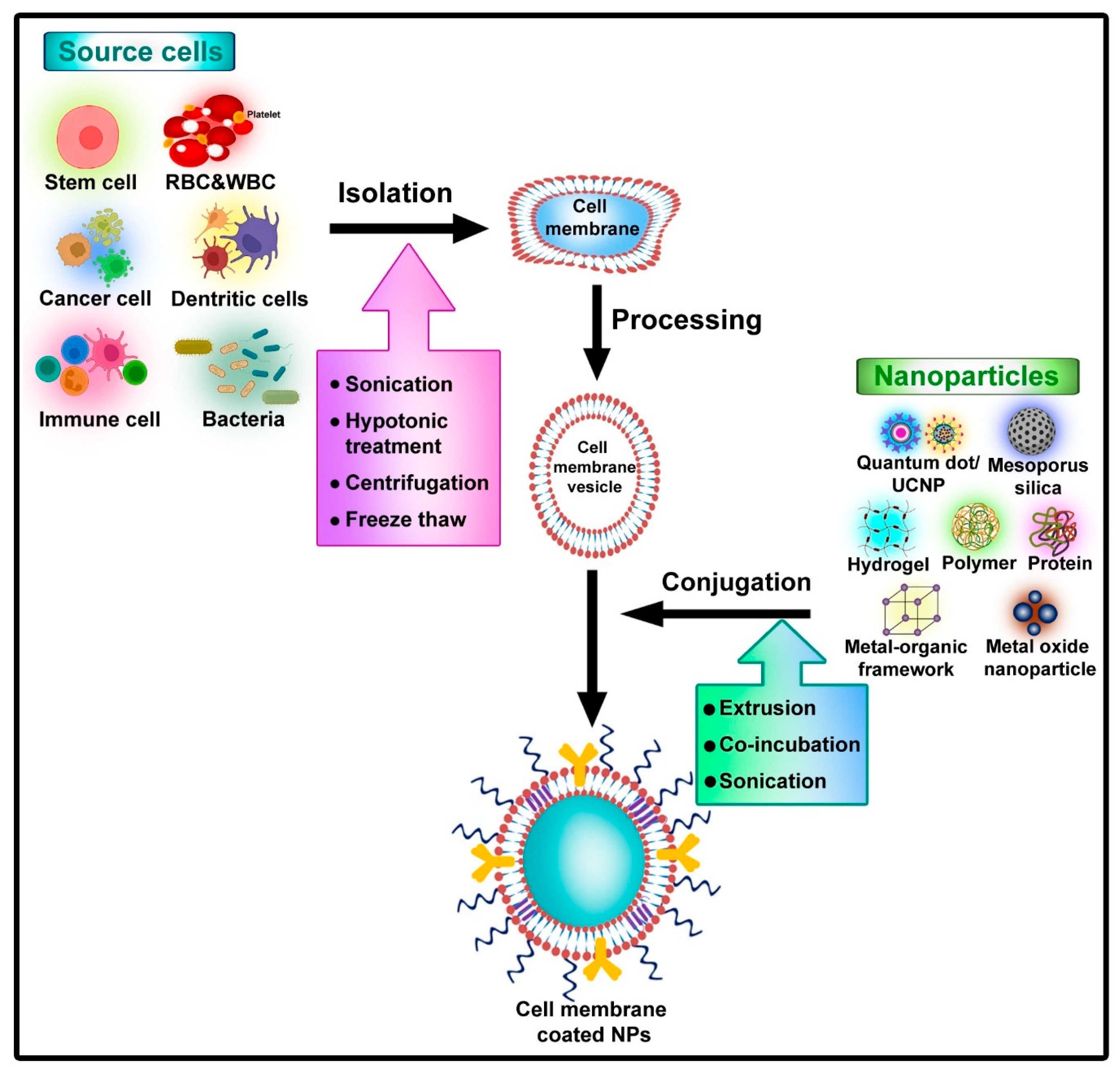 Pharmaceutics 15 00073 g001 Pharmaceutics 15 00073 g001