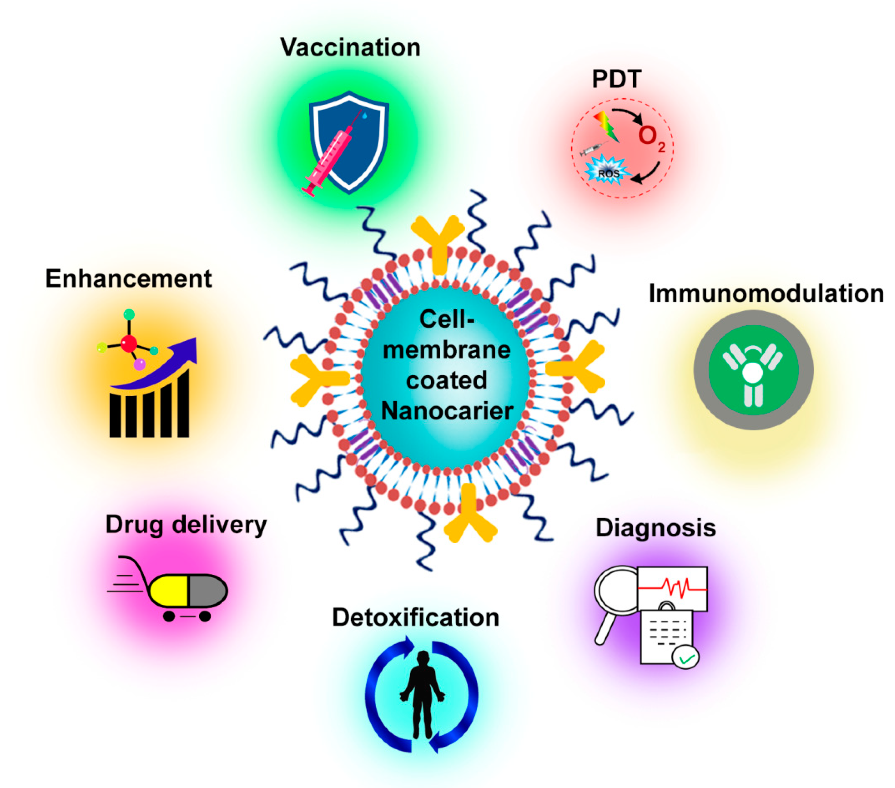 Pharmaceutics 15 00073 g002 Pharmaceutics 15 00073 g002