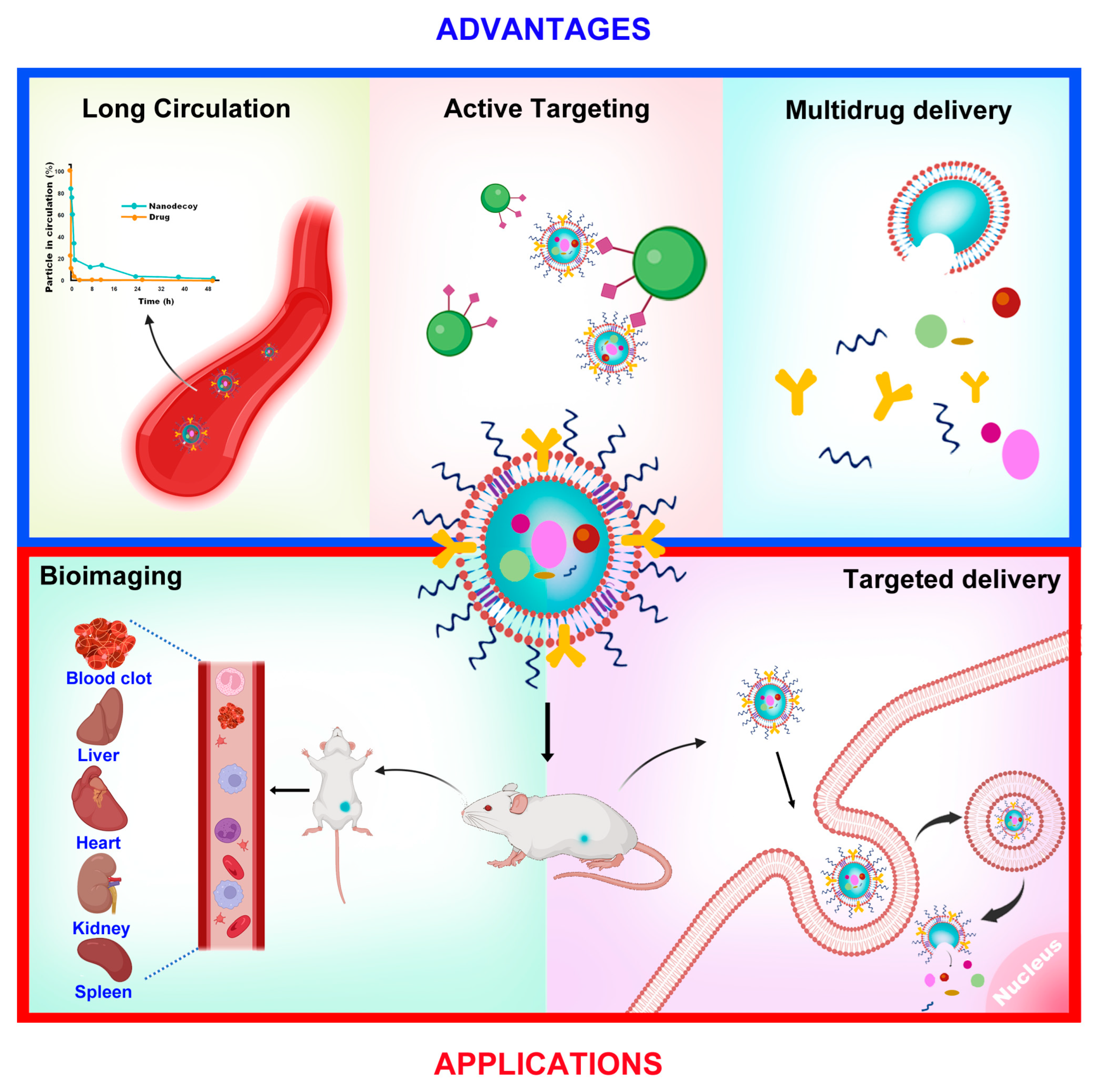 Pharmaceutics 15 00073 g003 Pharmaceutics 15 00073 g003