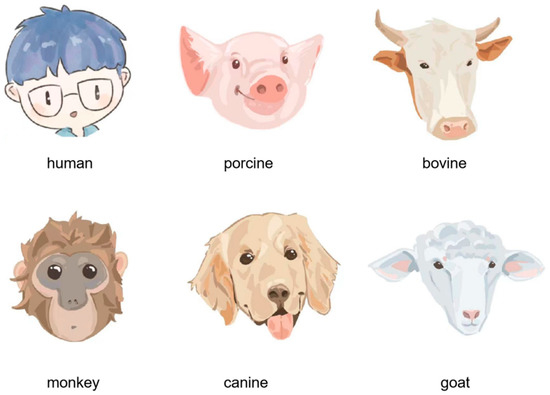 Pharmaceutics 15 00091 g002