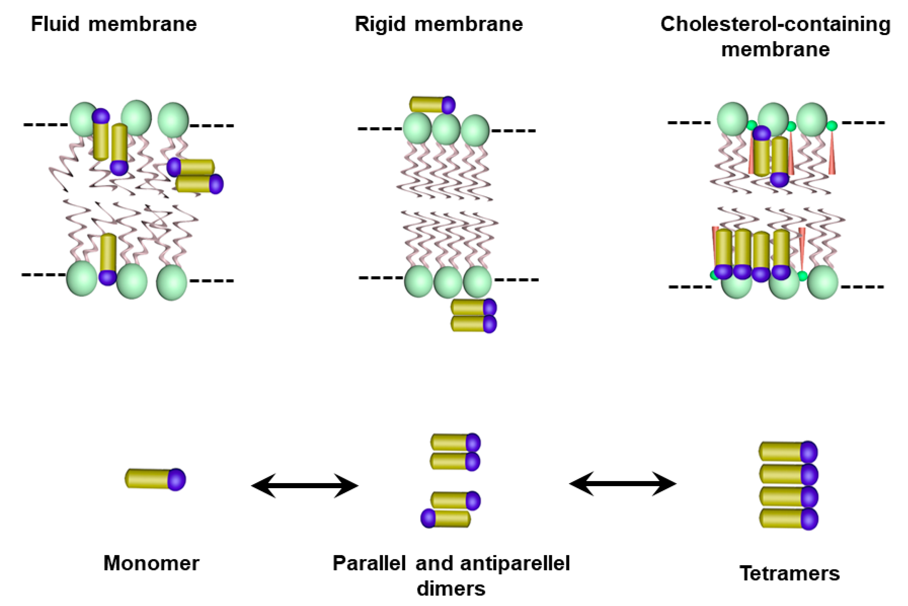 Pharmaceutics 15 00099 g006