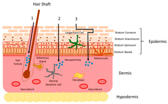Pharmaceutics 15 00099 g009