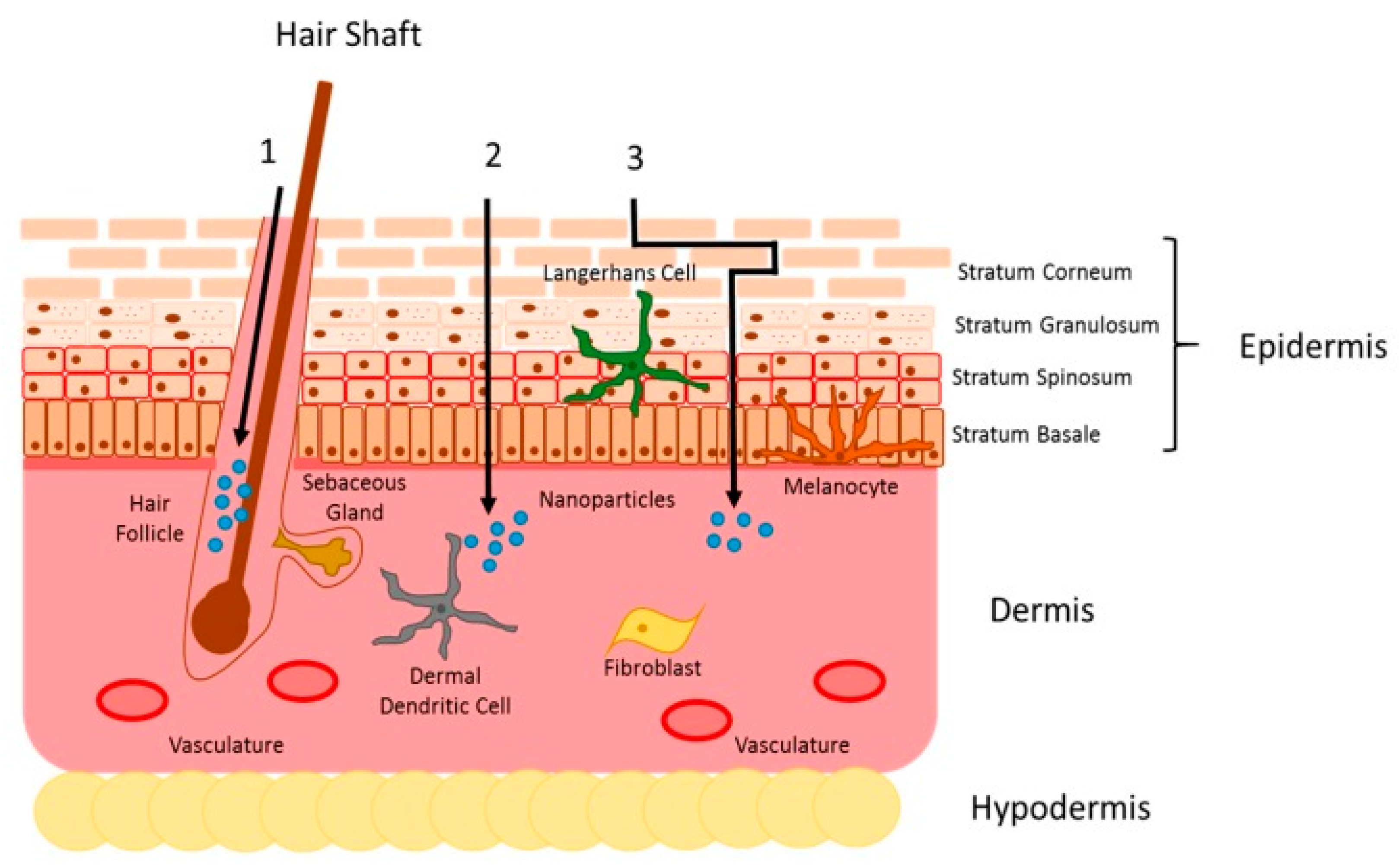 Pharmaceutics 15 00099 g009