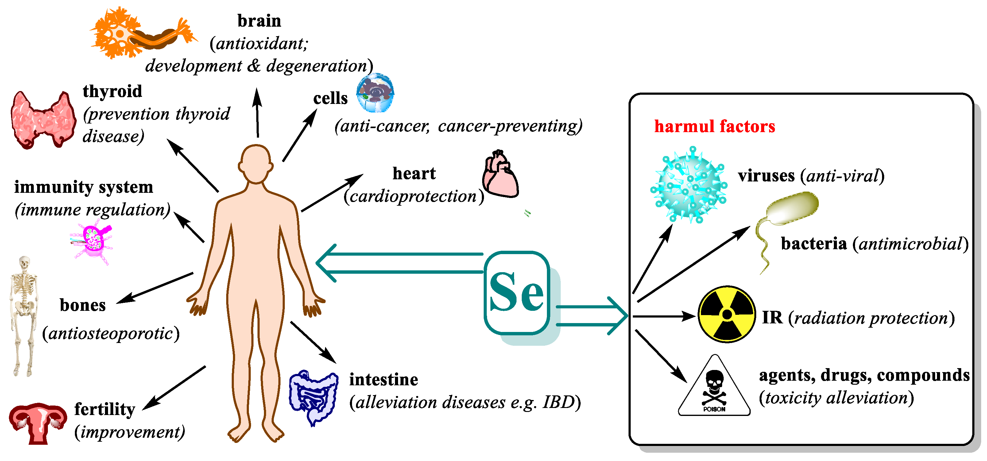Pharmaceutics 15 00104 g003 Pharmaceutics 15 00104 g003