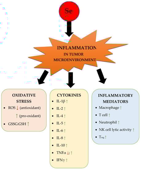 Pharmaceutics 15 00104 g009
