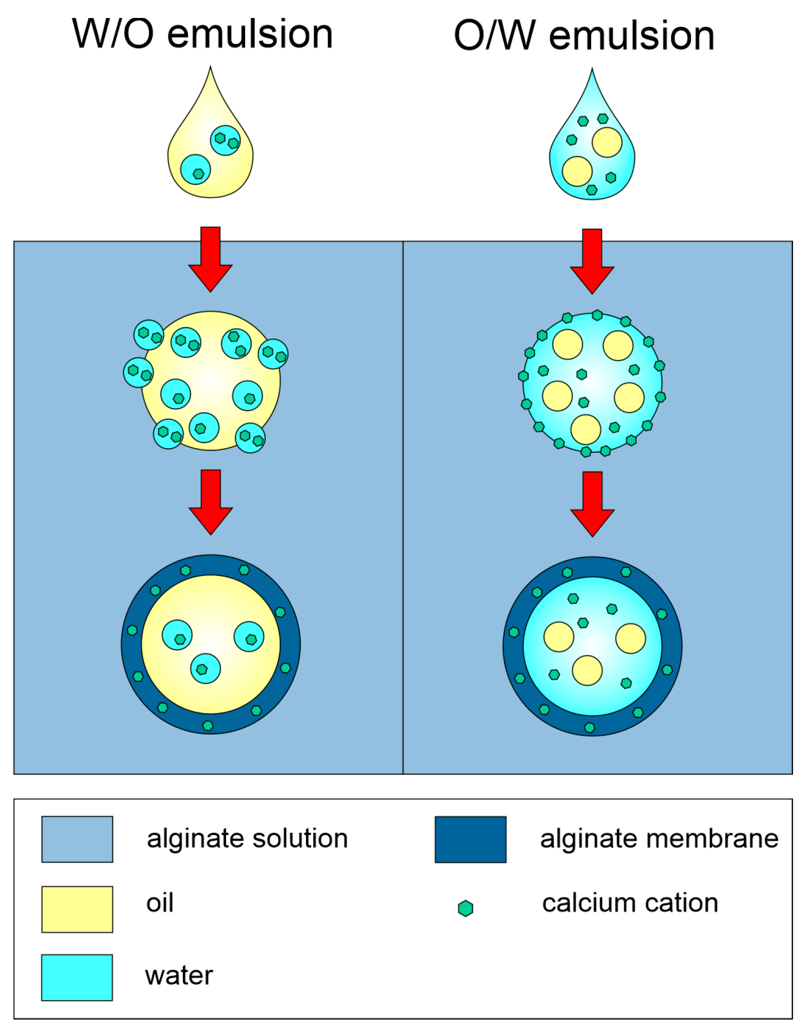 Pharmaceutics 15 00108 g001