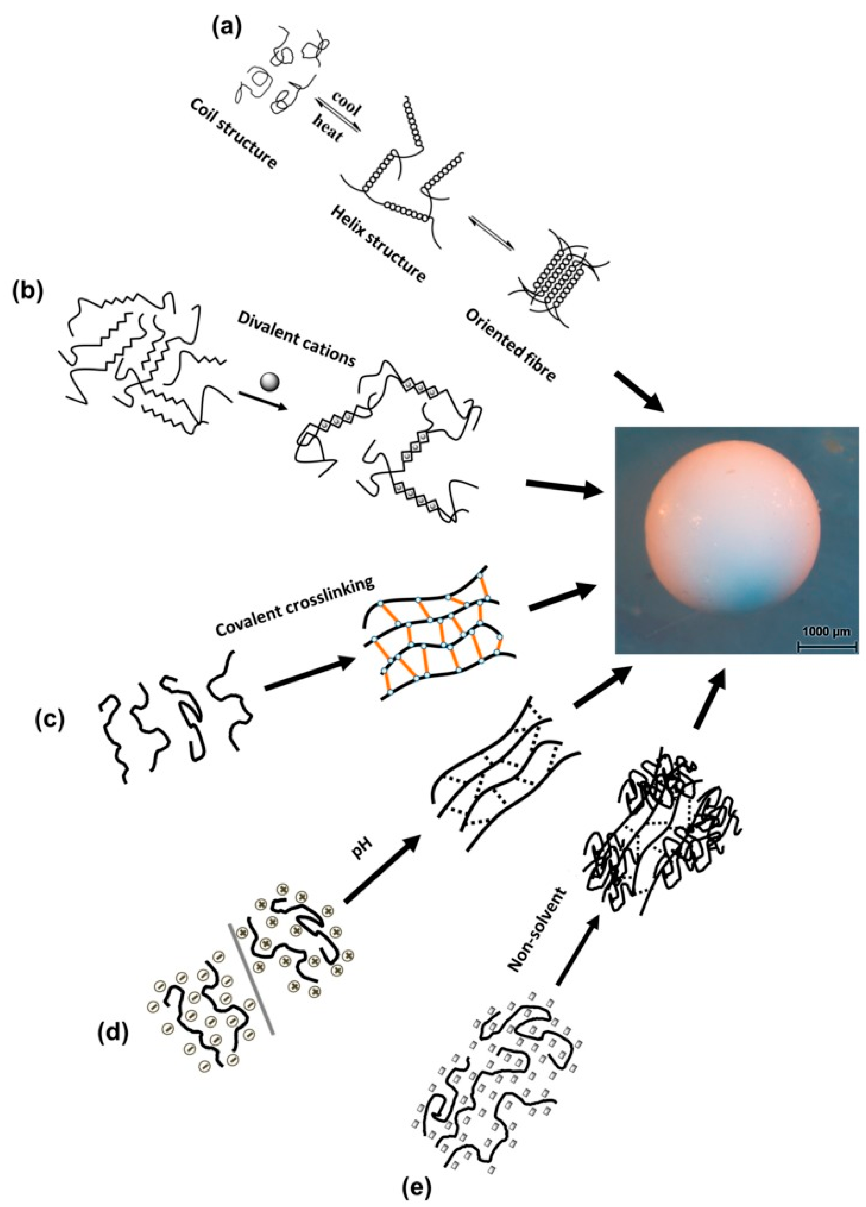 Pharmaceutics 15 00108 g002