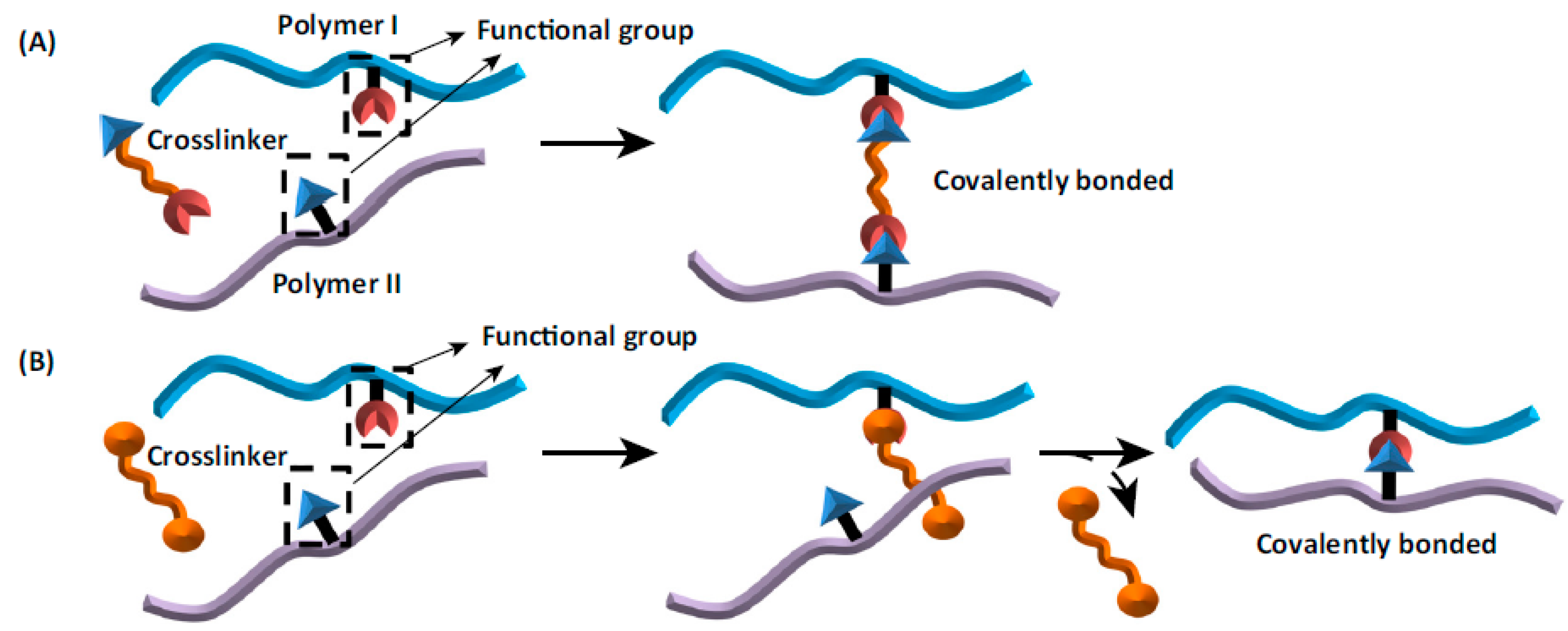 Pharmaceutics 15 00108 g005