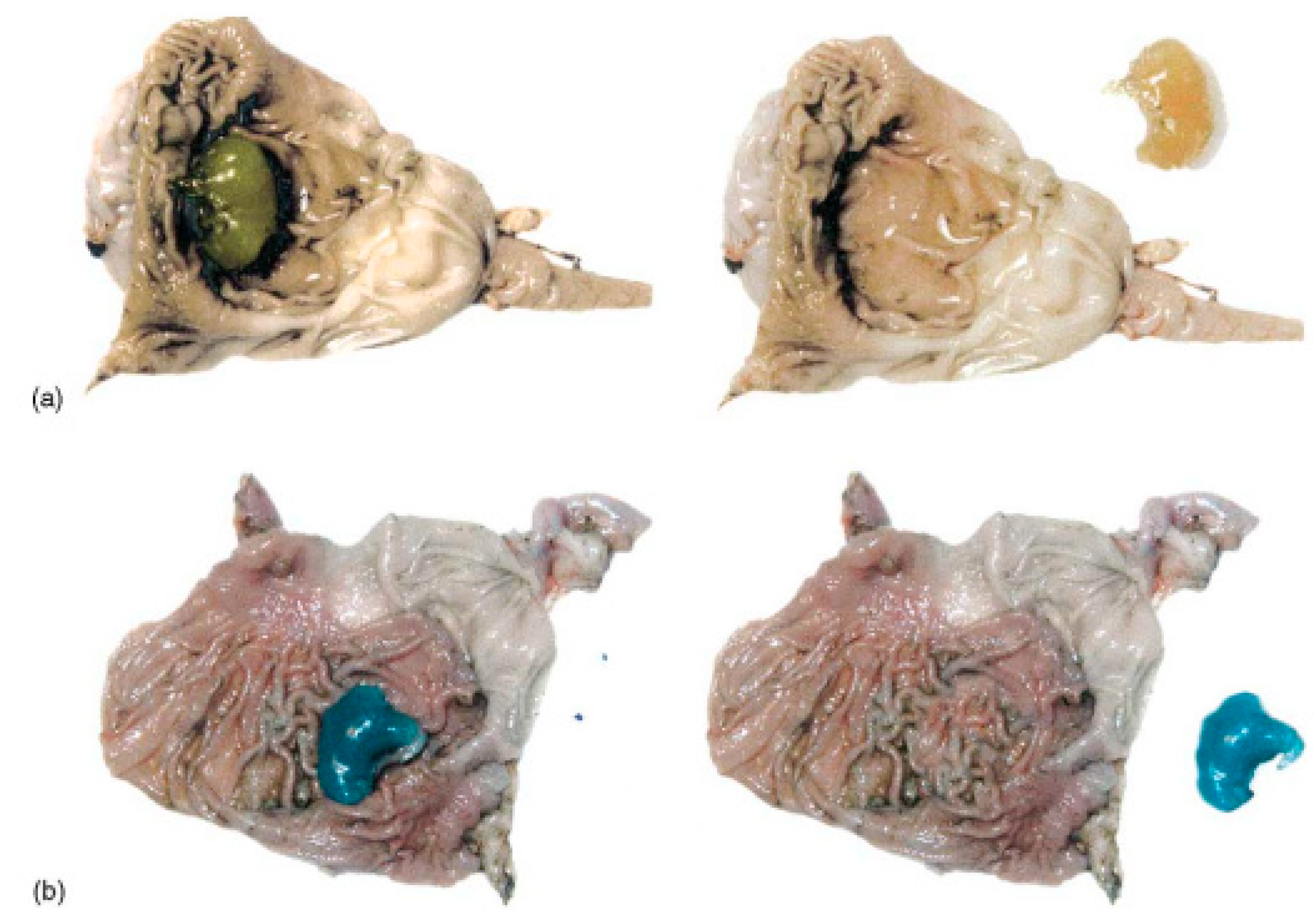 Pharmaceutics 15 00108 g009