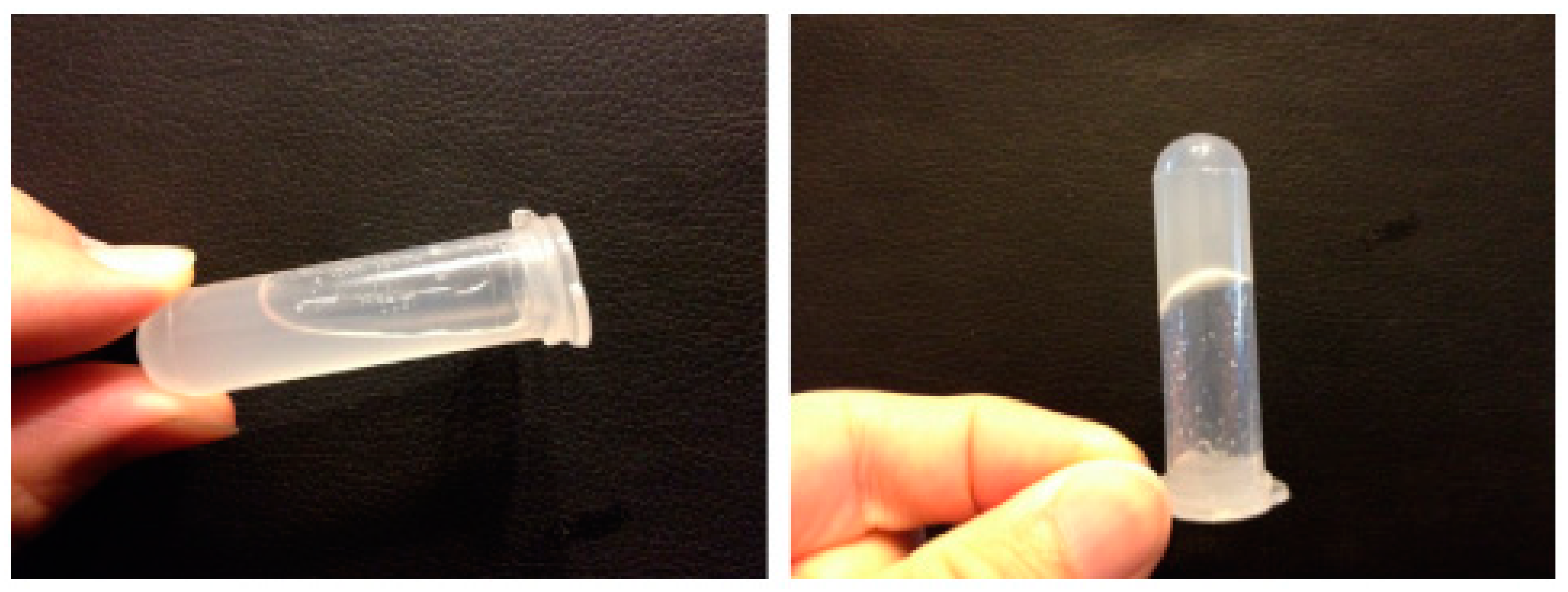 Pharmaceutics 15 00108 g010