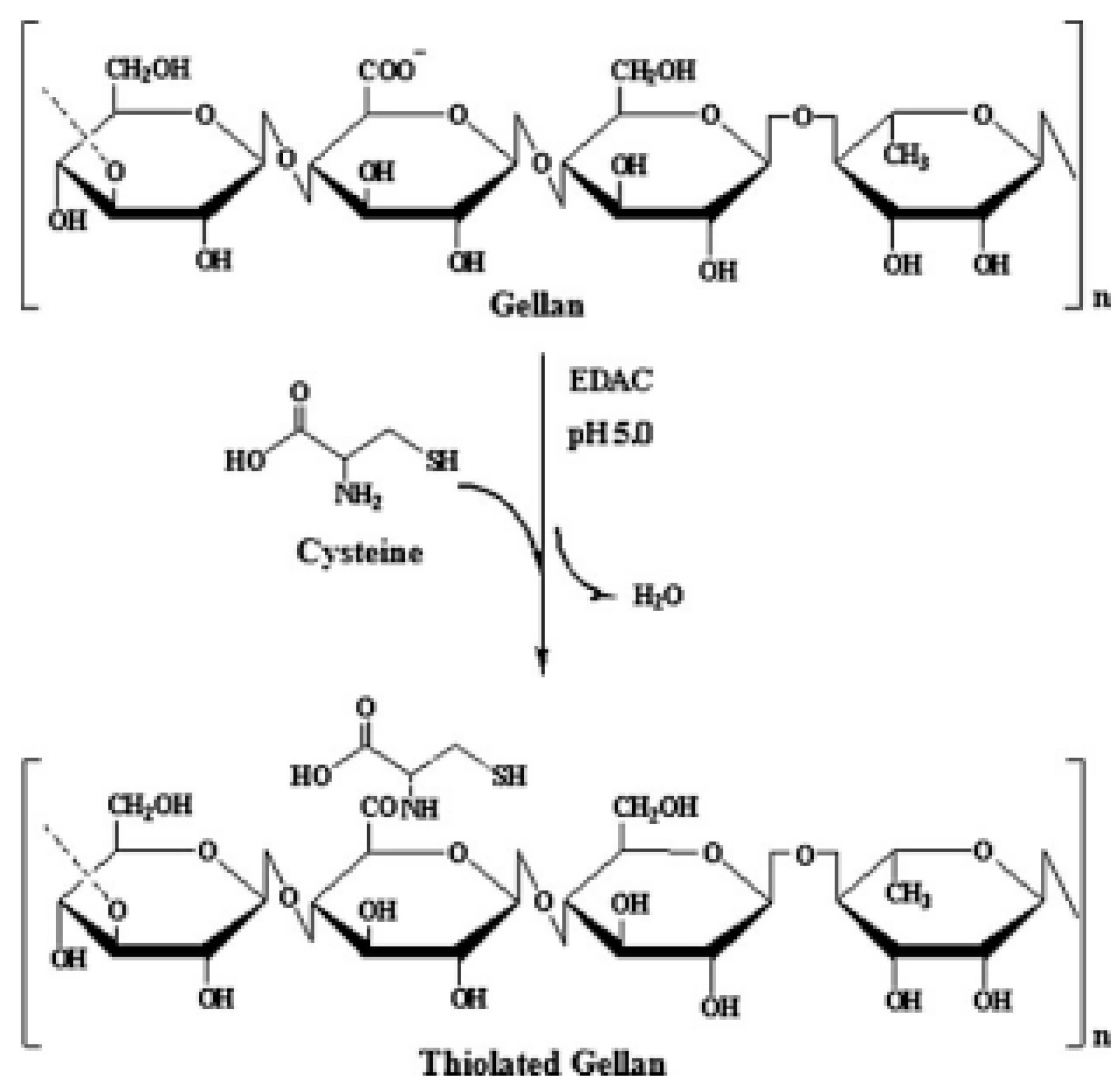 Pharmaceutics 15 00108 g013